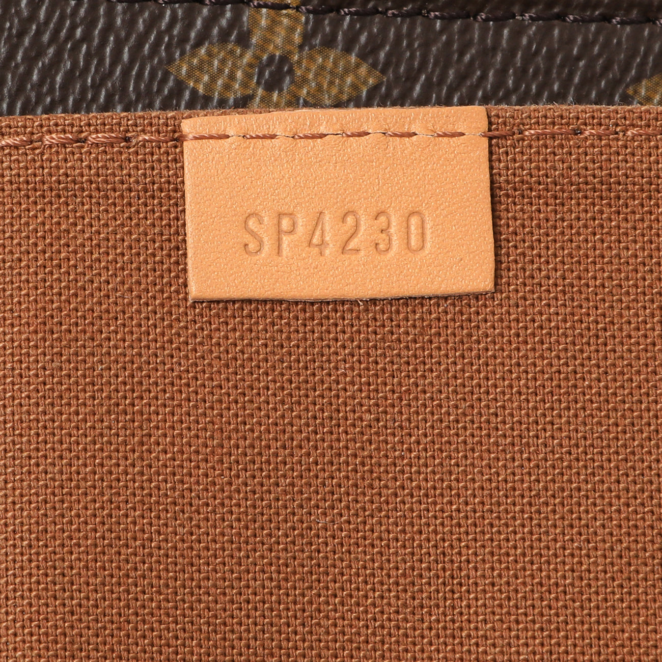 Exclusive Louis Vuitton Monogram Petit Sac Plat — Lifestyle View