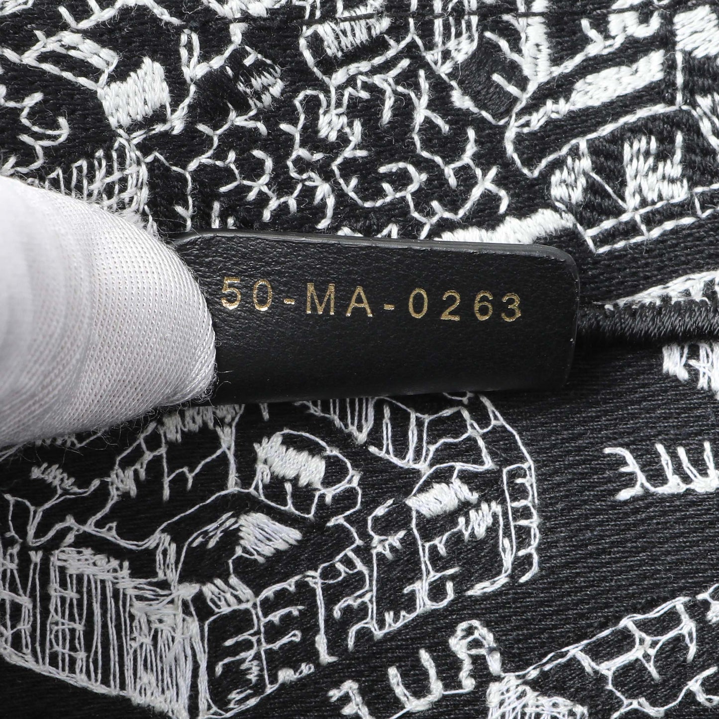 Exclusive Christian Dior Black White Canvas Embroidered Plan De Paris Medium Book Tote — Lifestyle View