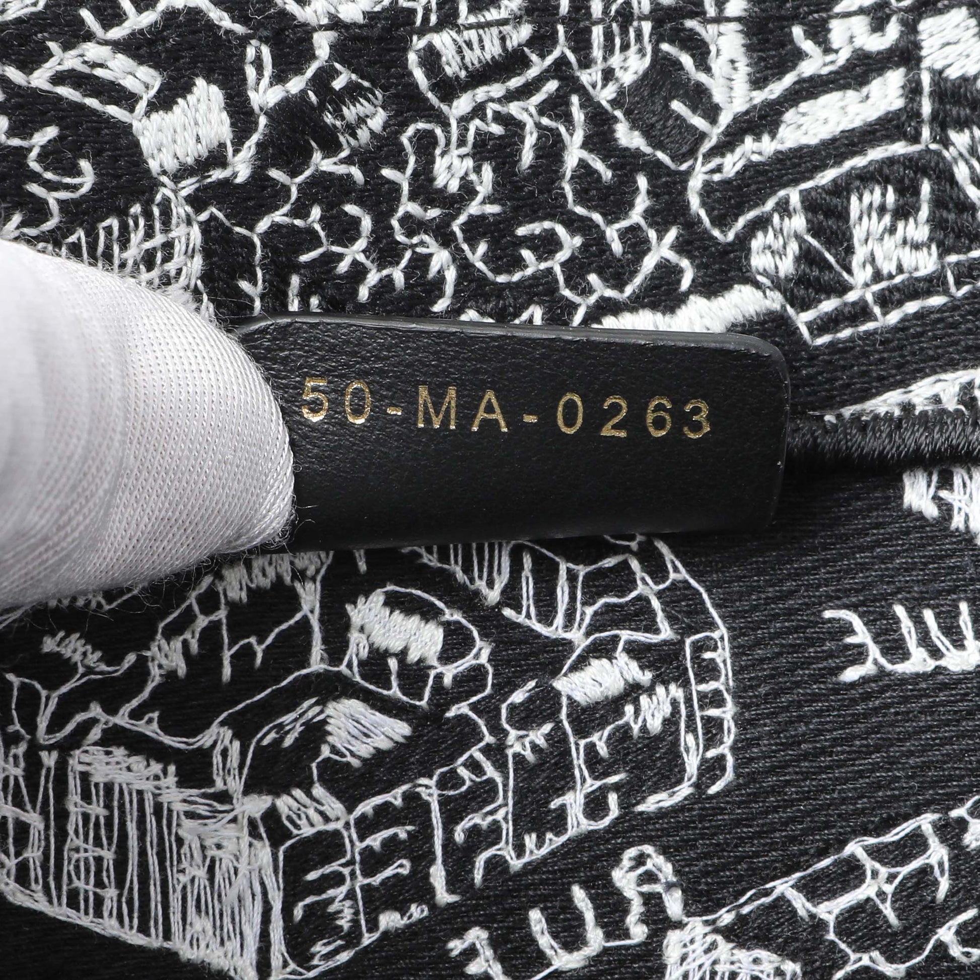 Exclusive Christian Dior Black White Canvas Embroidered Plan De Paris Medium Book Tote — Lifestyle View