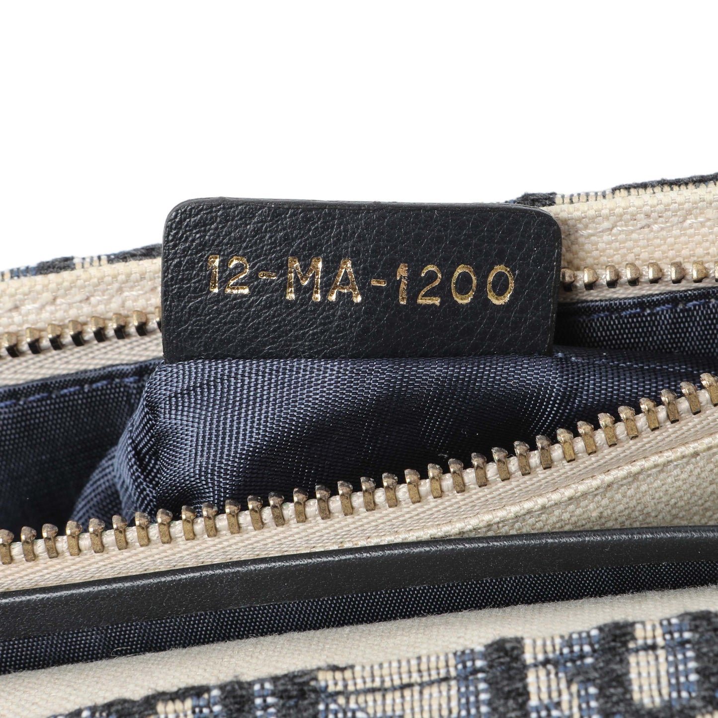 Exclusive Christian Dior Oblique Saddle Chain Pouch — Lifestyle View