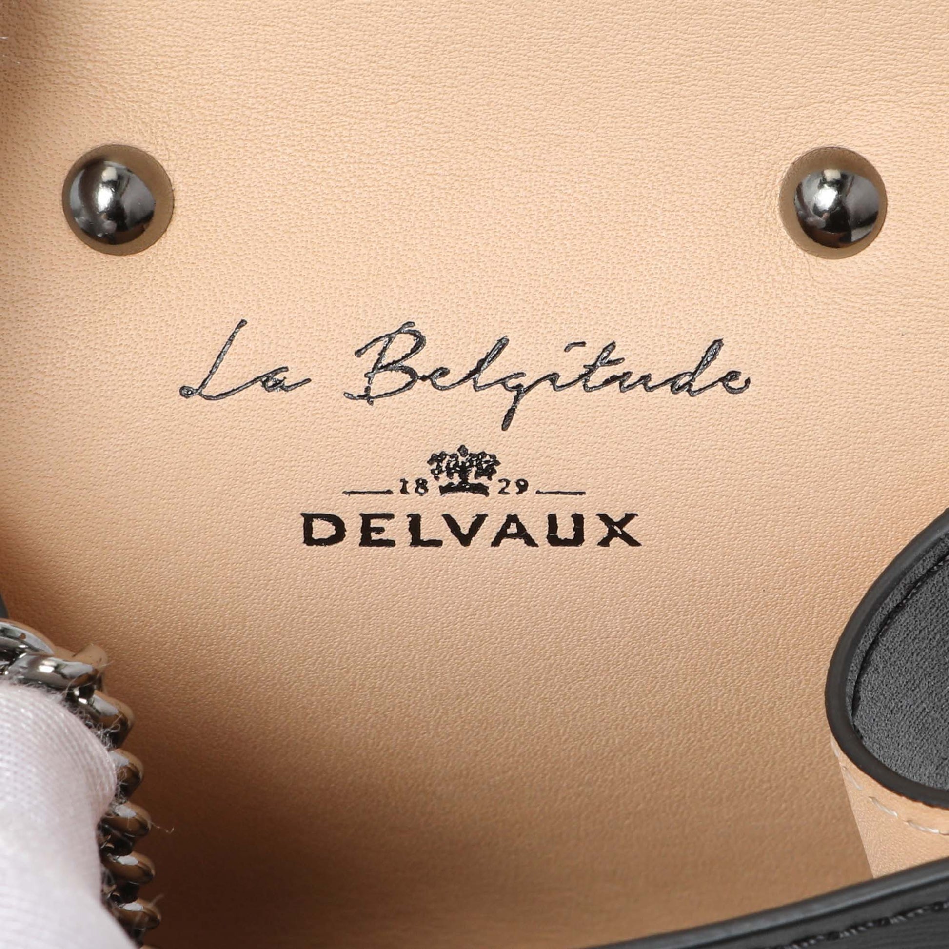 Exclusive Delvaux Black Calfskin Brillant Bag Charms — Detail View
