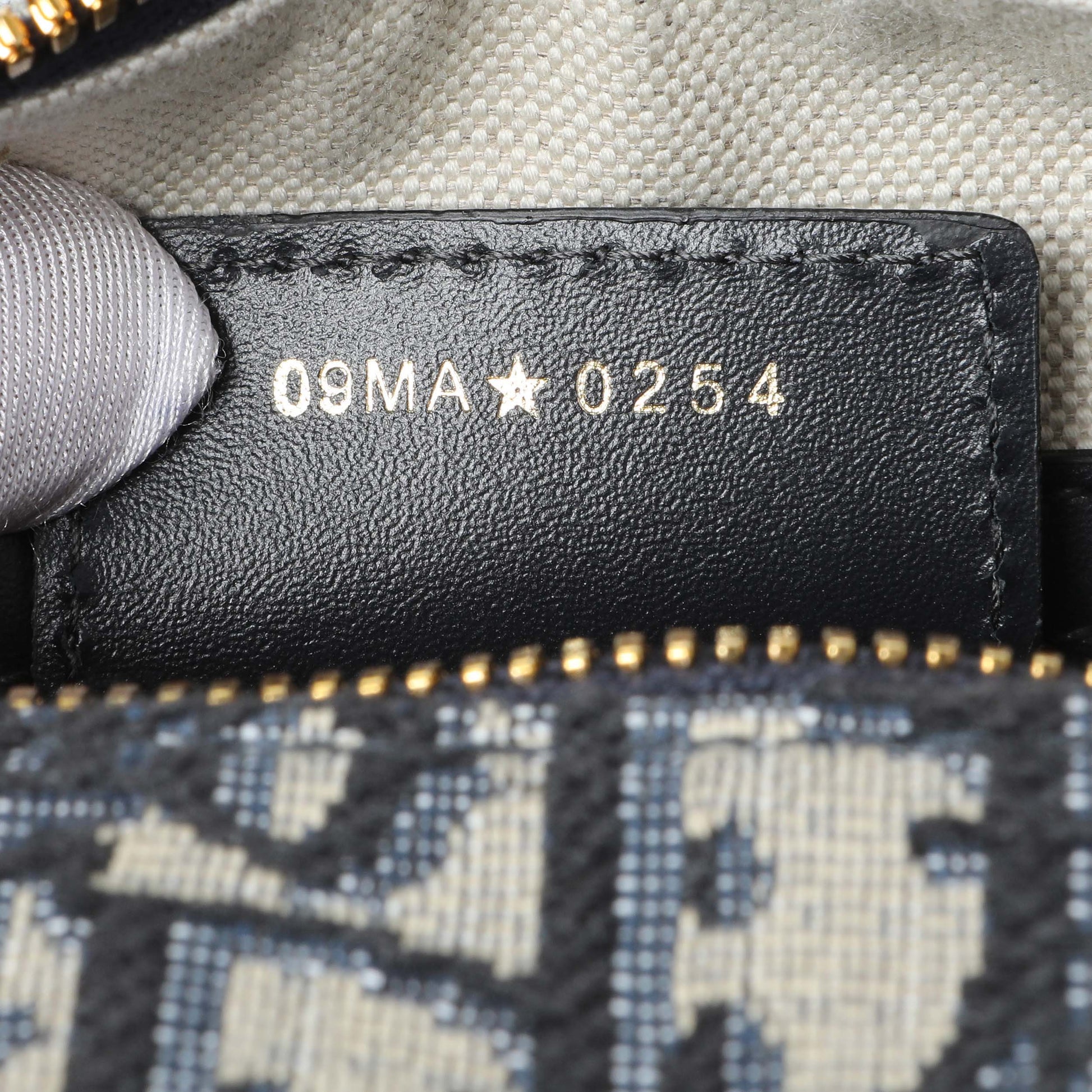 Exclusive Christian Dior Oblique Groove 25 Bowling Bag — Lifestyle View