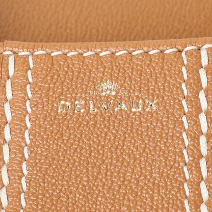 Exclusive Delvaux Vegetal Grained Rodeo Calfskin Brillant Mini Surpiqué — Detail View