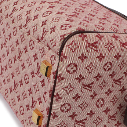 Exclusive Louis Vuitton Monogram Cherry Mini Lin Josephine GM — Alternate View 7