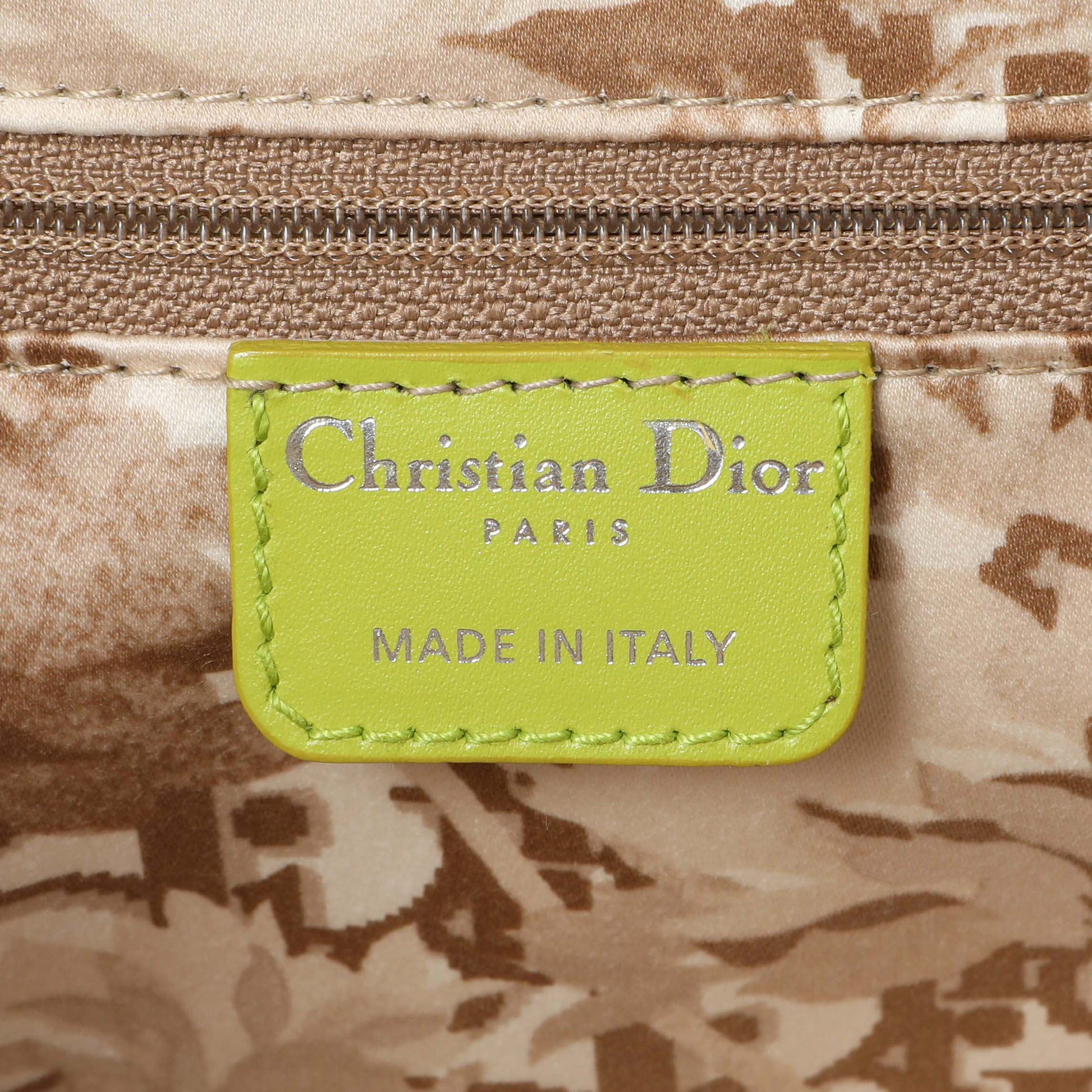 Exclusive Christian Dior Green Calfskin Medium Detective Satchel — Alternate View 9