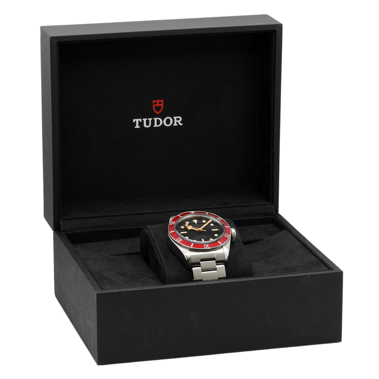Exclusive Tudor Stainless Steel Blackbay Heritage 79230R — Detail View