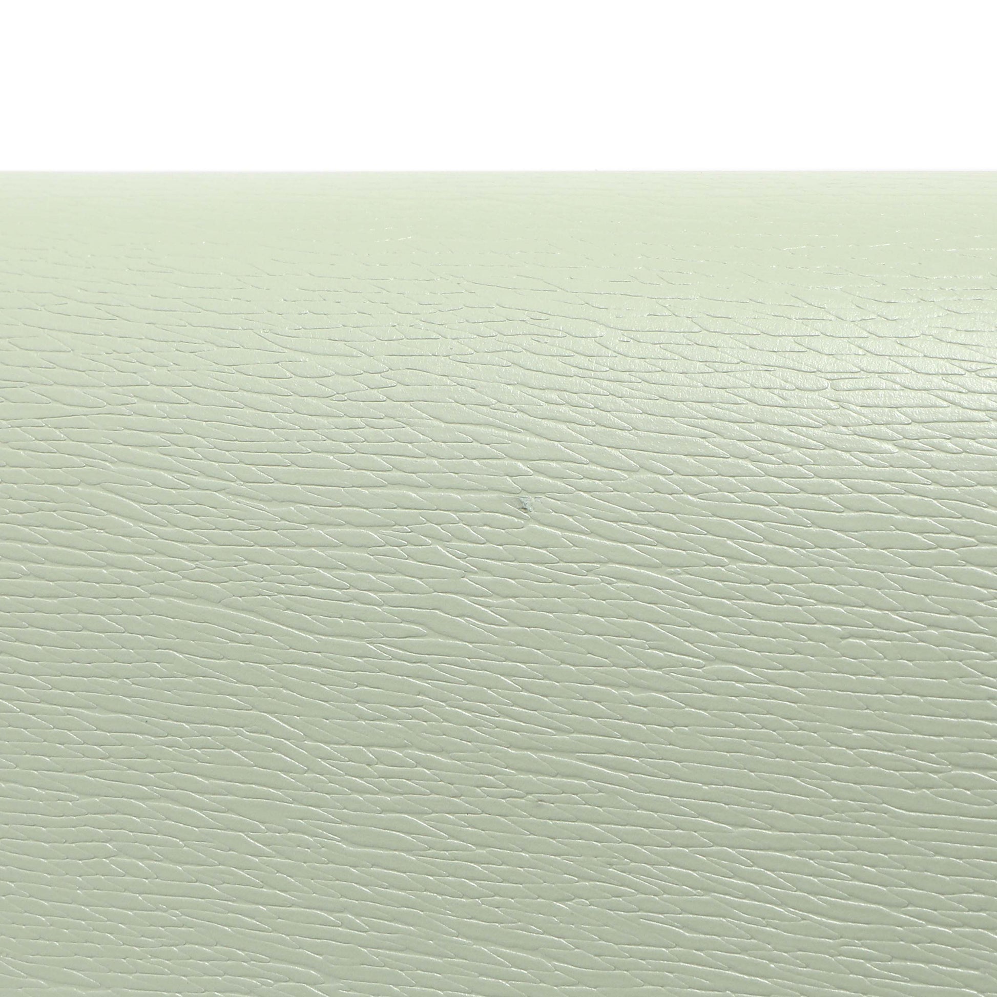 Exclusive Gucci Pale Green Textured Calfskin Script Logo Chain Wallet — Alternate View 7