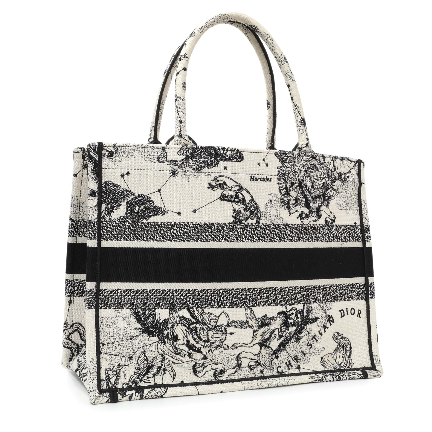 Exclusive Christian Dior Latte and Black Canvas Embroidered Zodiac Toile de Jouy Medium Book Tote — Side View