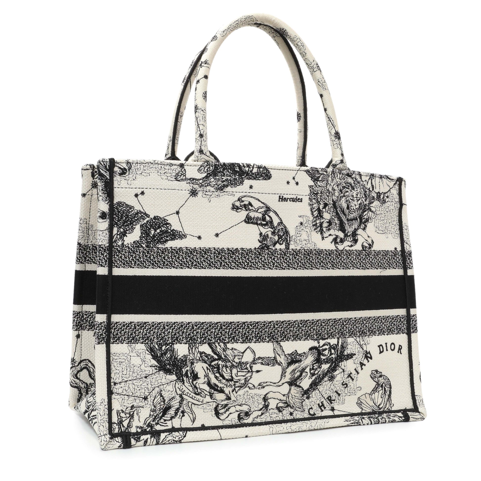 Exclusive Christian Dior Latte and Black Canvas Embroidered Zodiac Toile de Jouy Medium Book Tote — Side View