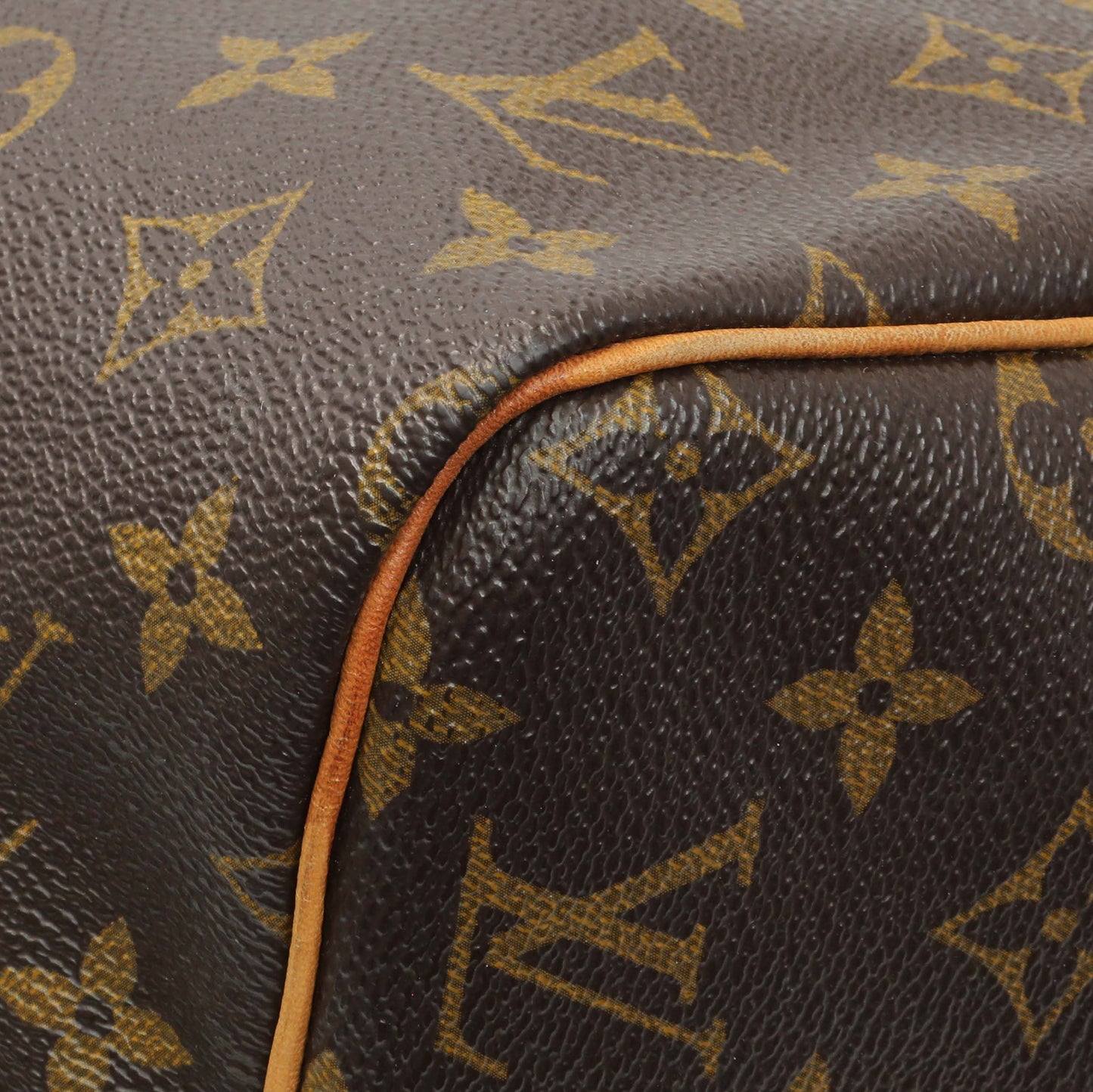 Exclusive Louis Vuitton Monogram Speedy 30 — Detail View