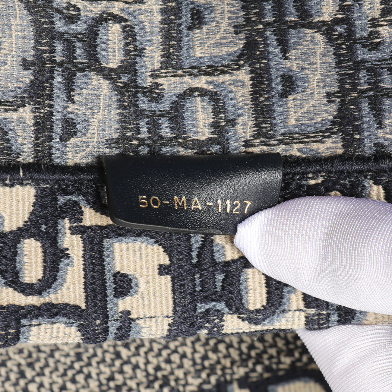 Exclusive Christian Dior Blue Oblique Large Book Tote — Lifestyle View