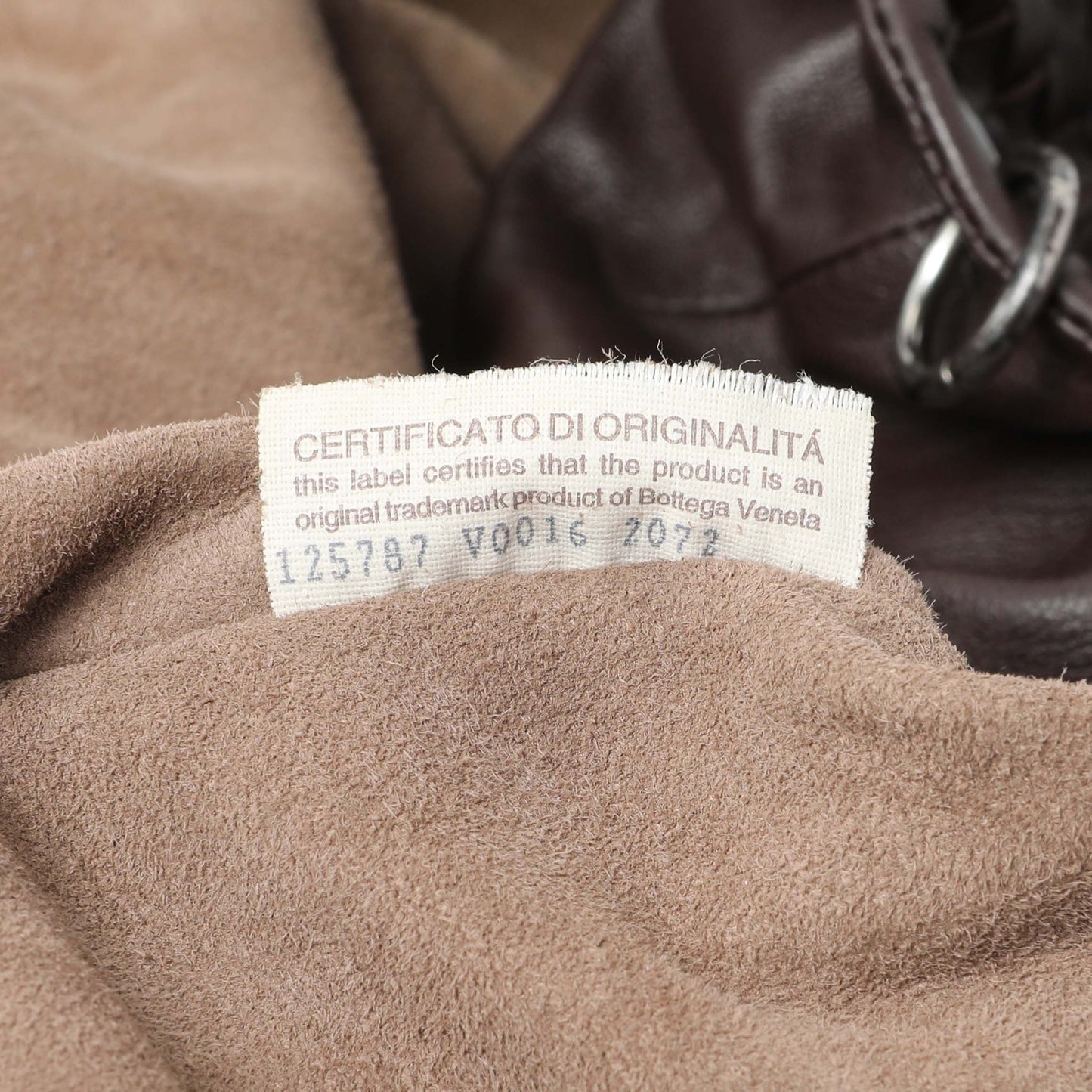 Exclusive Bottega Veneta Campana Double Handle Veneta Hobo — Alternate View 10