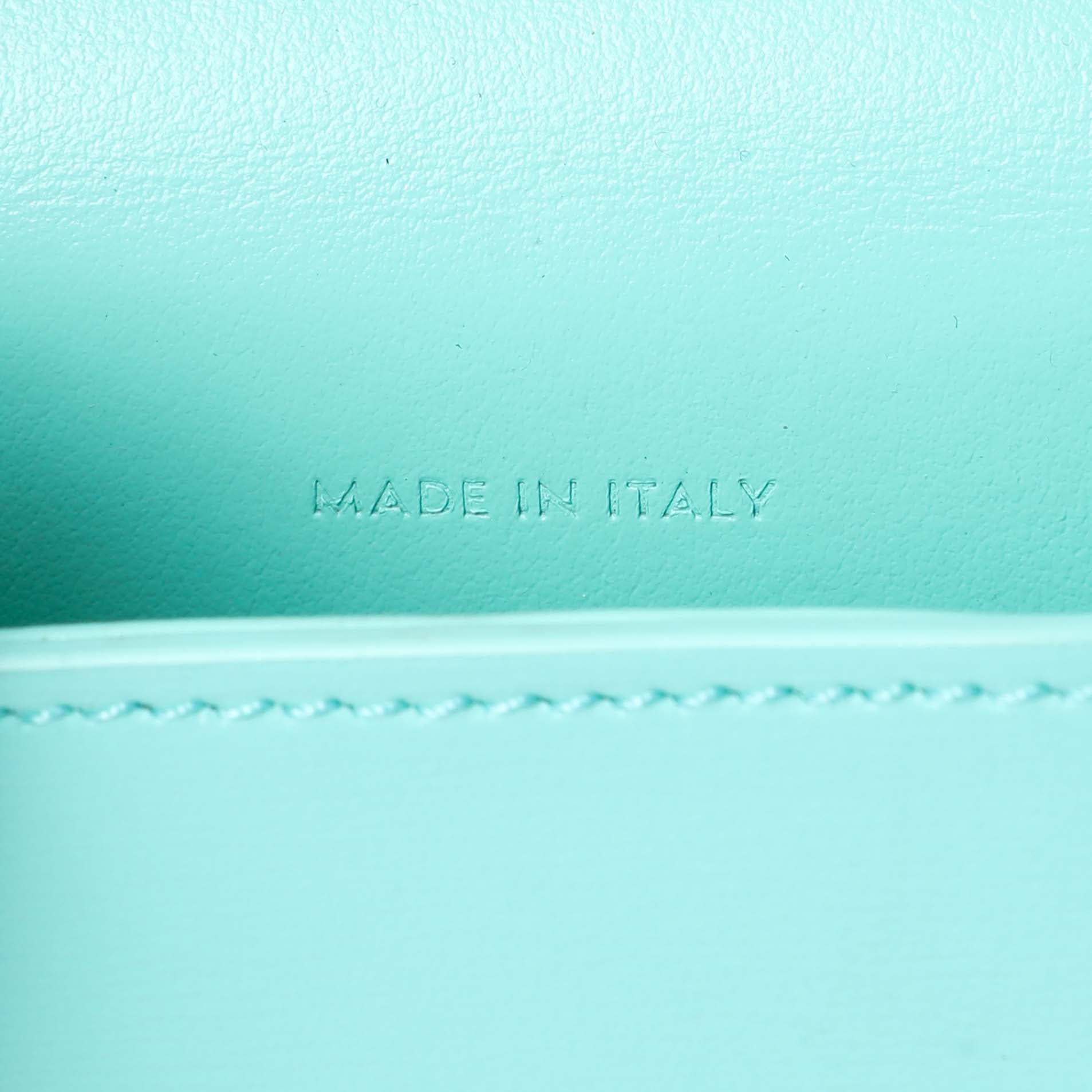 Exclusive Celine Turquoise Shiny Calfskin Triomphe Airpods Case — Alternate View 7
