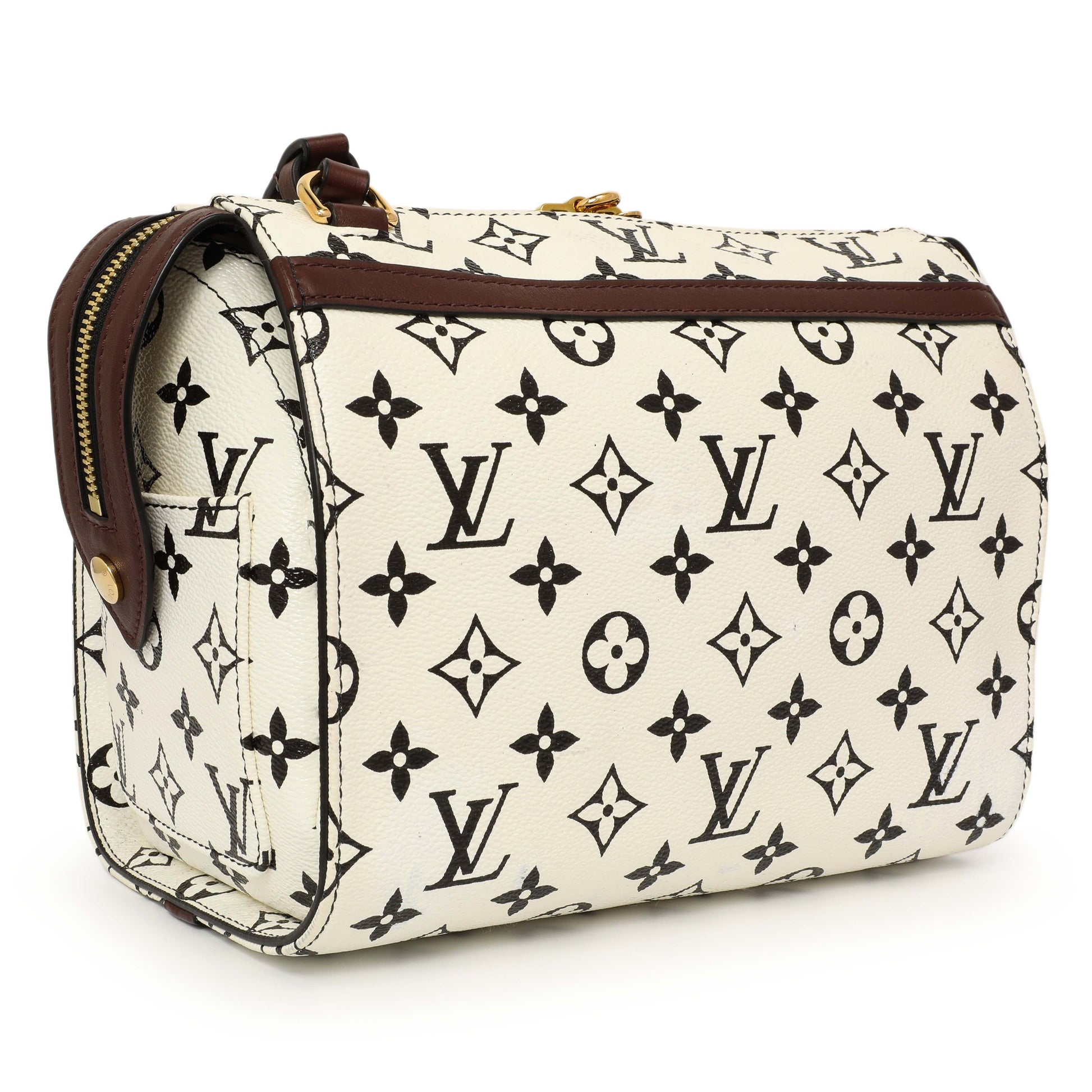 Exclusive Louis Vuitton Monogram Speedy Amazon PM — Back View