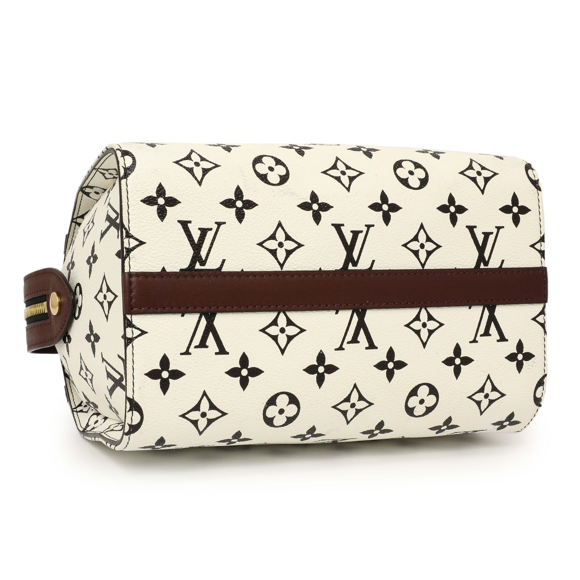 Exclusive Louis Vuitton Monogram Speedy Amazon PM — Top View