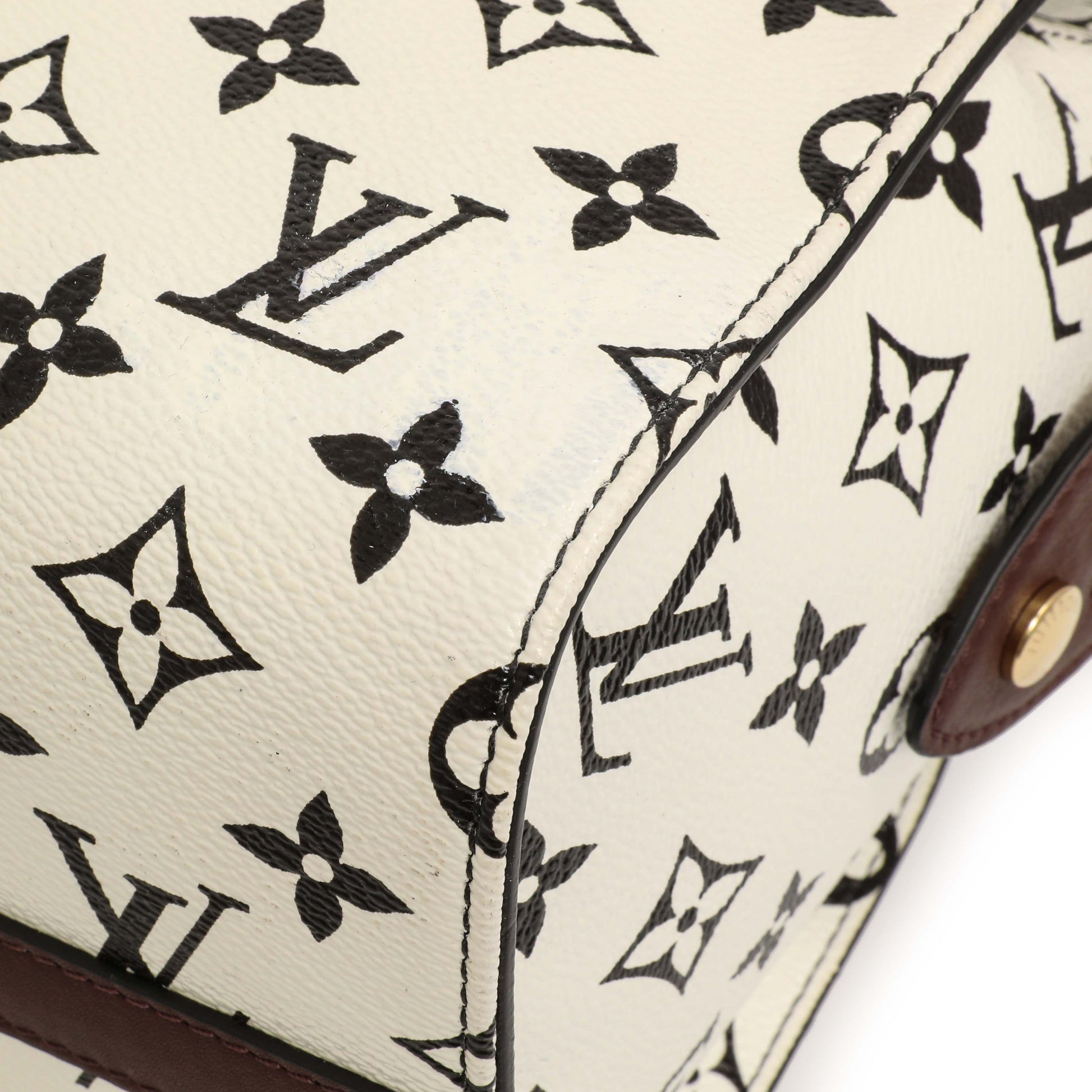 Exclusive Louis Vuitton Monogram Speedy Amazon PM — Lifestyle View