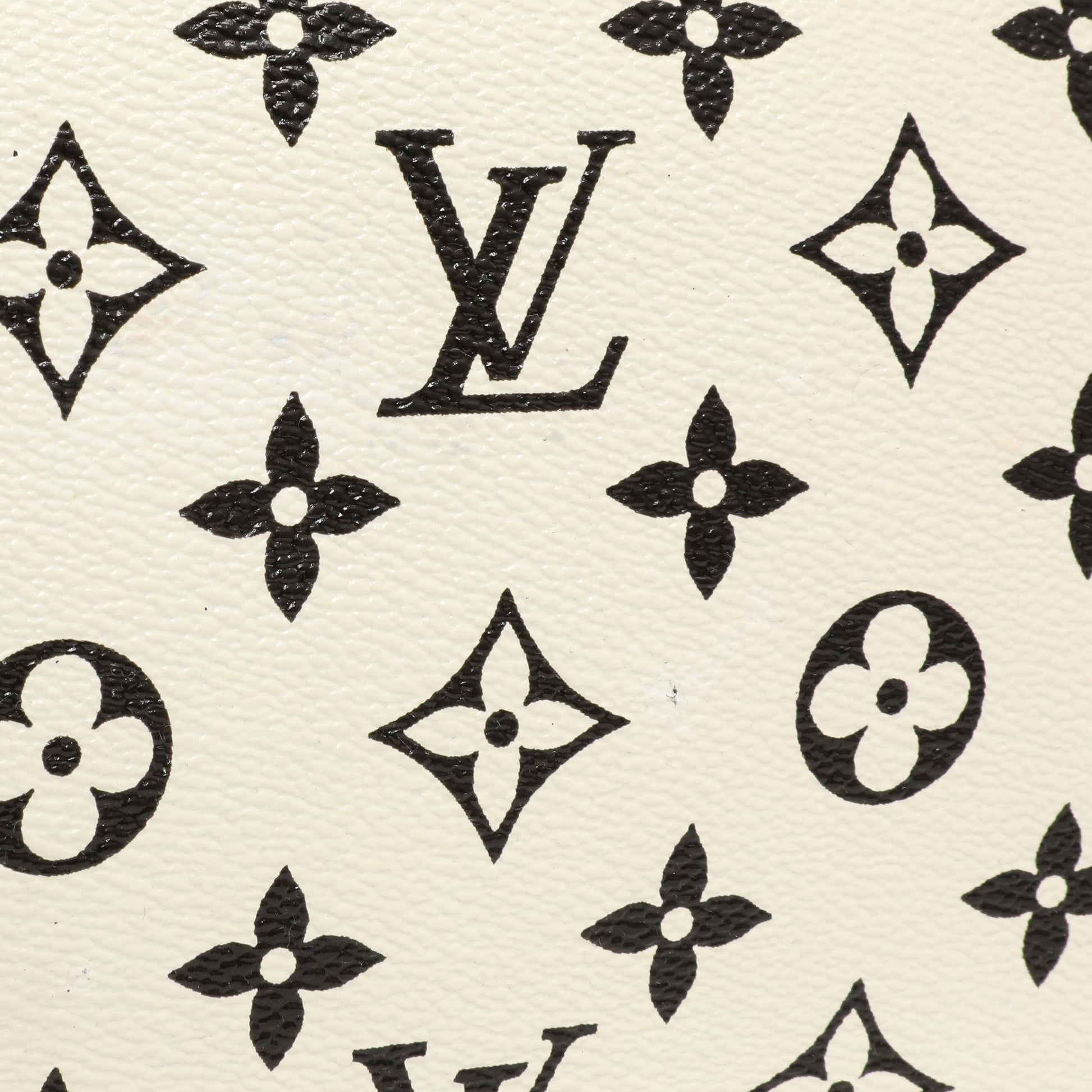 Exclusive Louis Vuitton Monogram Speedy Amazon PM — Alternate View 12