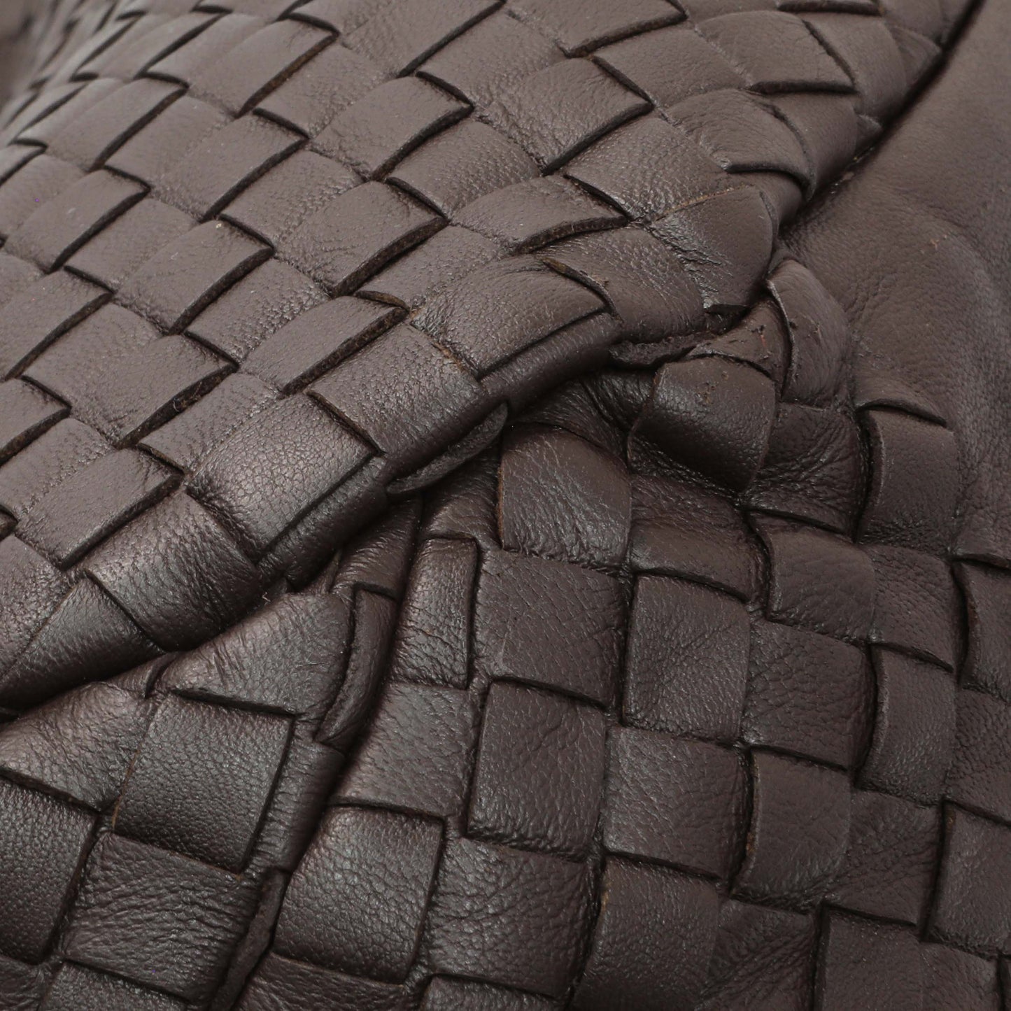 Exclusive Bottega Veneta Campana Double Handle Veneta Hobo — Lifestyle View