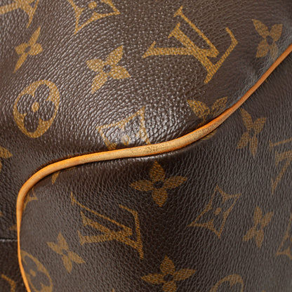 Exclusive Louis Vuitton Monogram Delightful MM — Top View