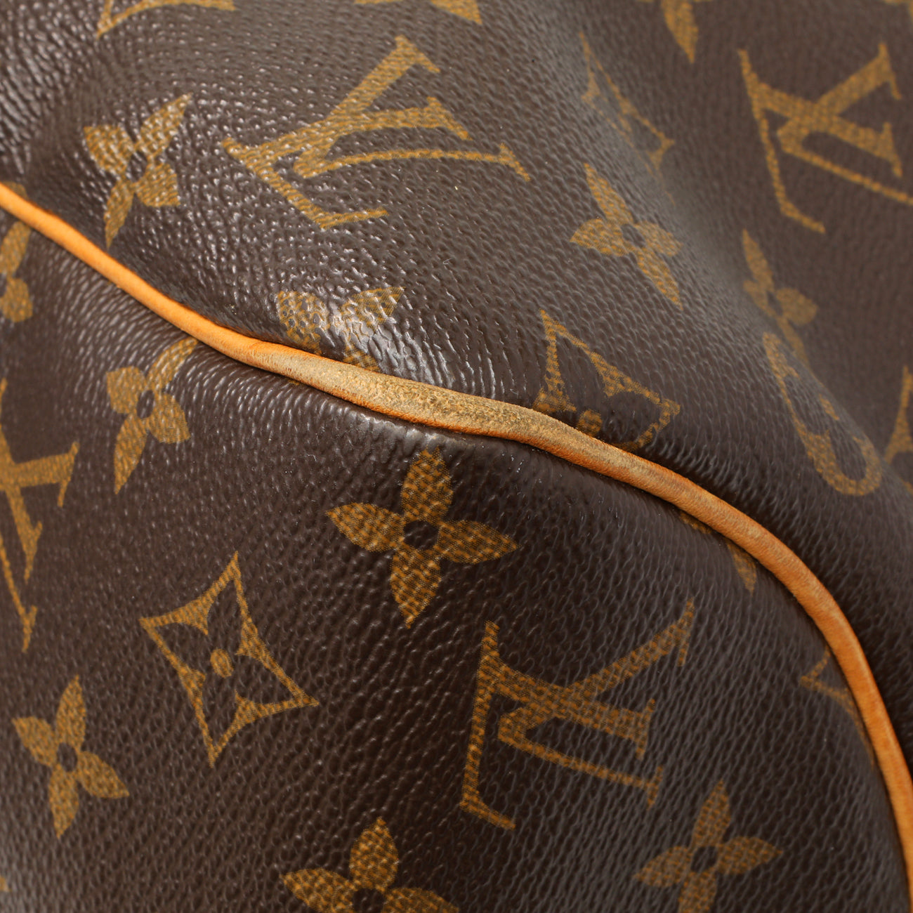 Exclusive Louis Vuitton Monogram Delightful MM — Detail View