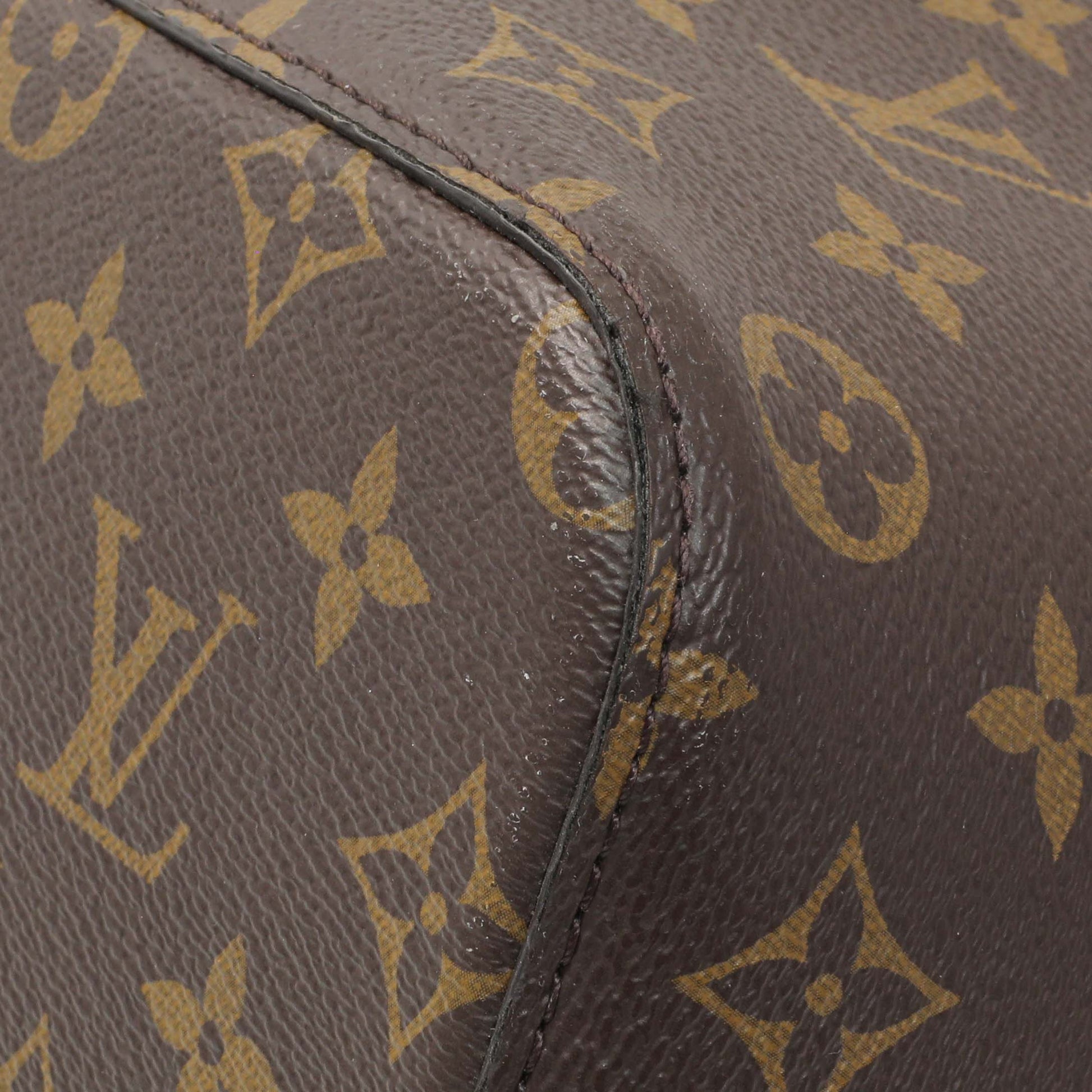 Exclusive Louis Vuitton Monogram Neonoe — Detail View
