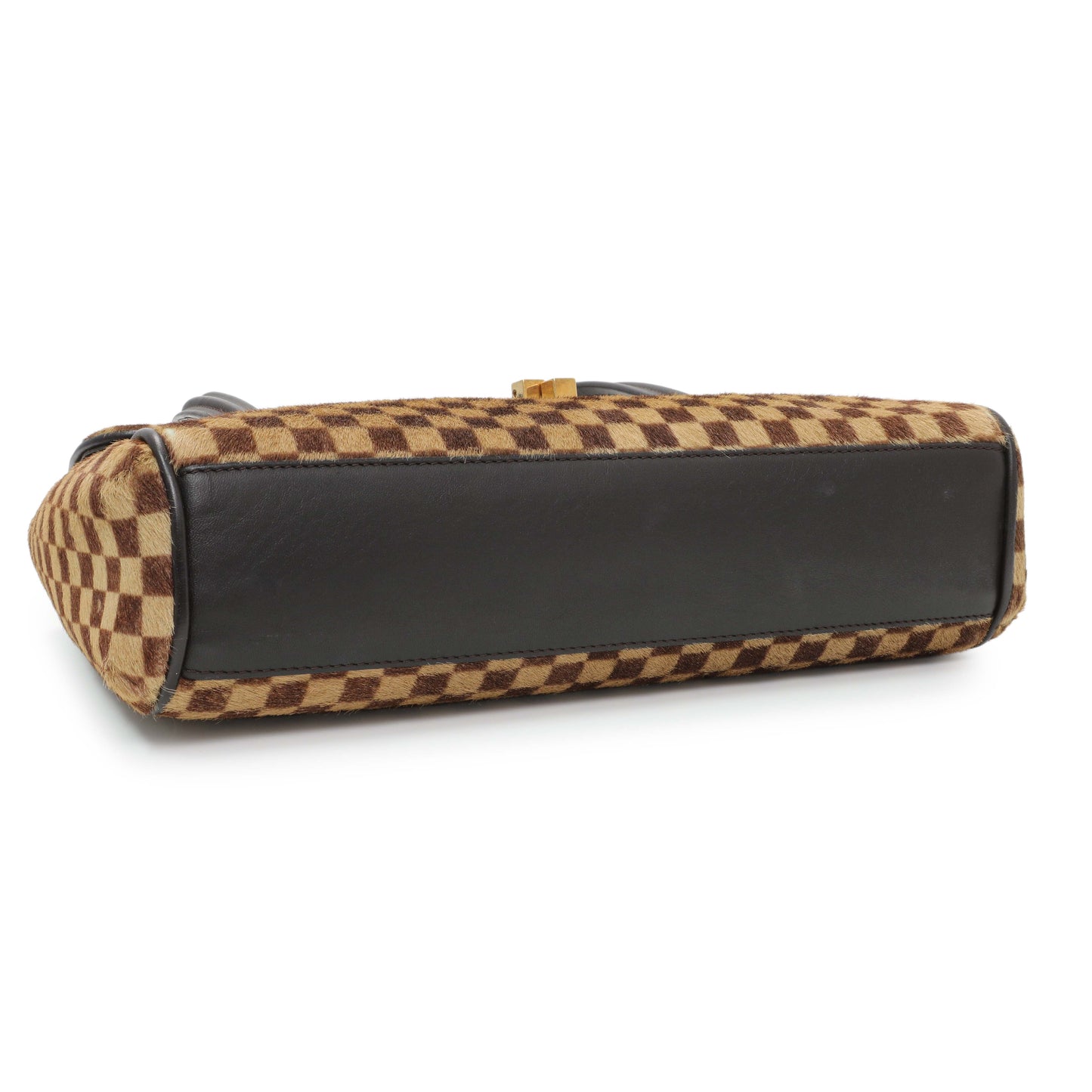 Exclusive Louis Vuitton Damier Calf Hair Sauvage Lionne — Back View