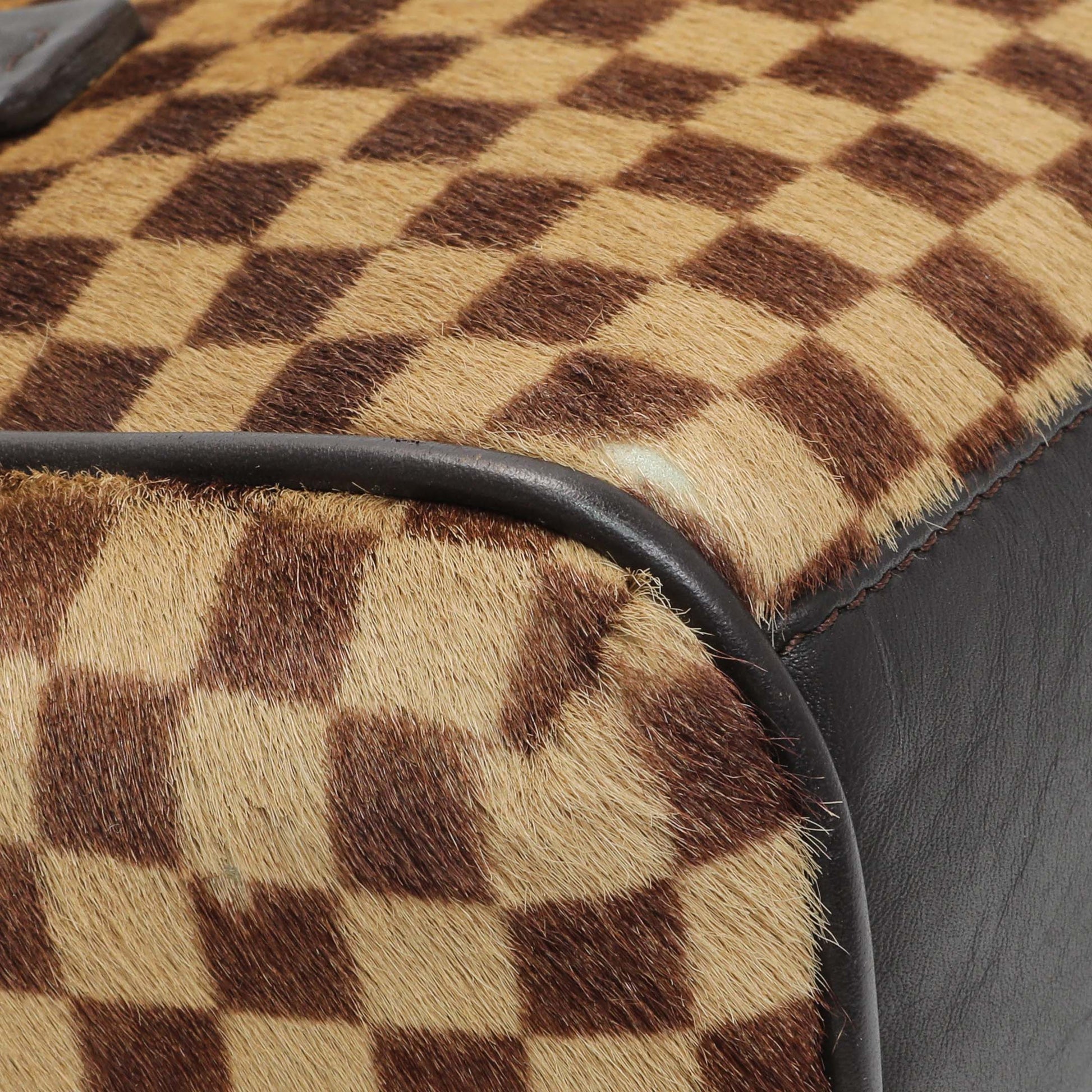 Exclusive Louis Vuitton Damier Calf Hair Sauvage Lionne — Top View
