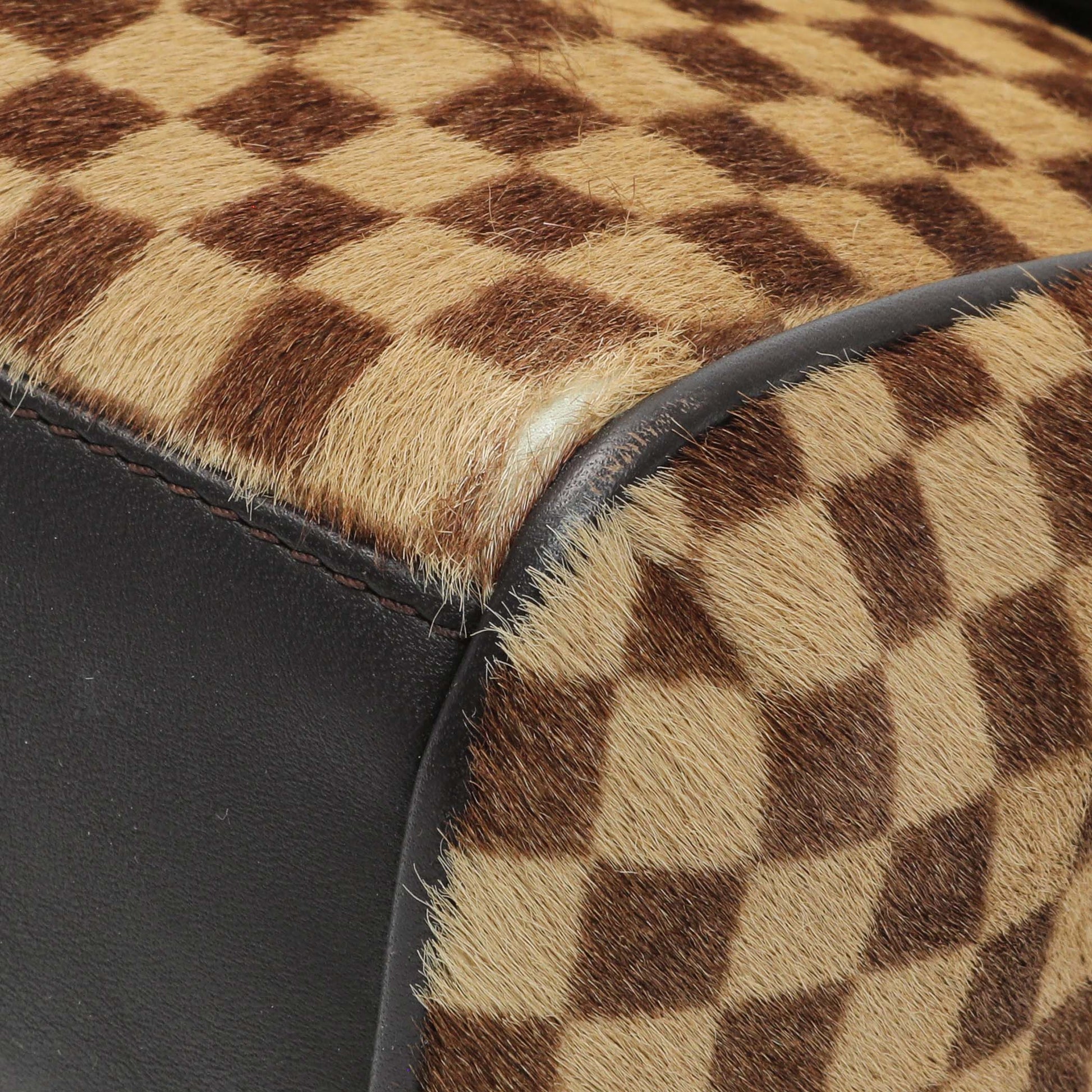 Exclusive Louis Vuitton Damier Calf Hair Sauvage Lionne — Detail View