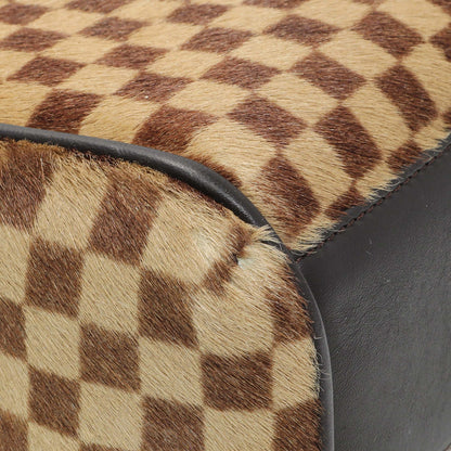 Exclusive Louis Vuitton Damier Calf Hair Sauvage Lionne — Lifestyle View