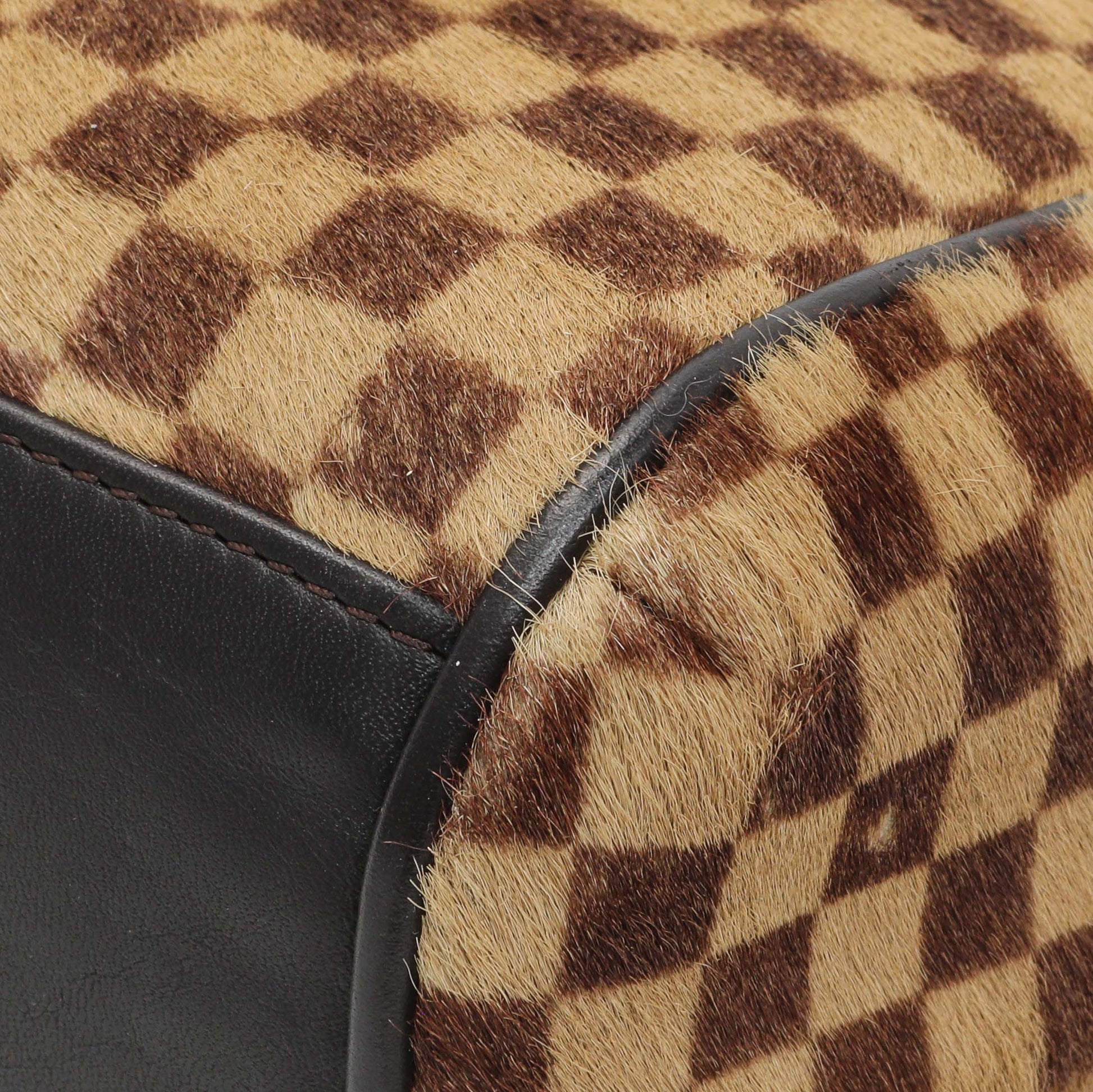 Exclusive Louis Vuitton Damier Calf Hair Sauvage Lionne — Alternate View 7