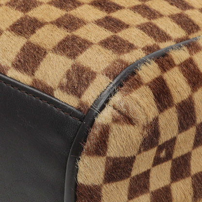 Exclusive Louis Vuitton Damier Calf Hair Sauvage Lionne — Alternate View 7