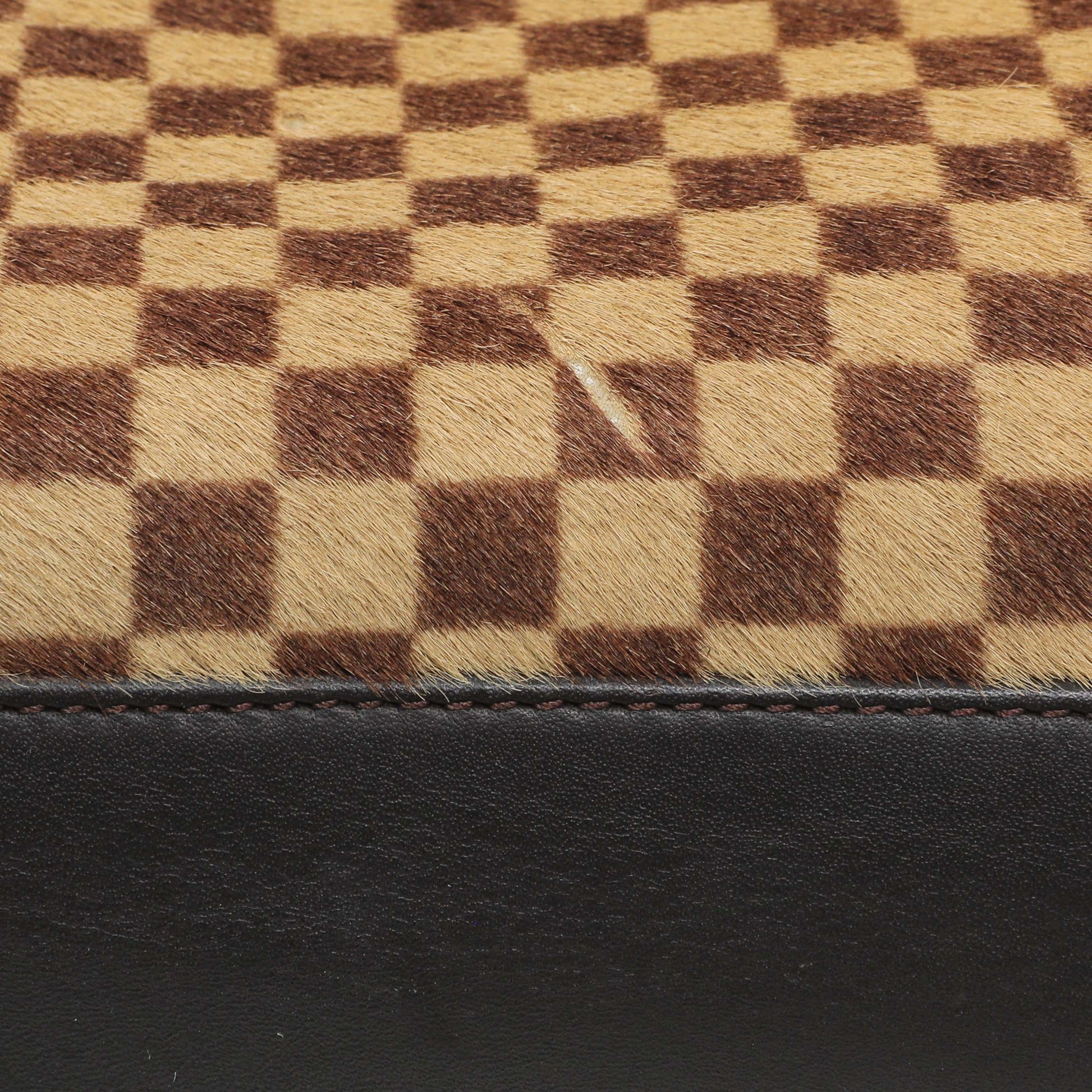 Exclusive Louis Vuitton Damier Calf Hair Sauvage Lionne — Alternate View 12
