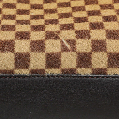 Exclusive Louis Vuitton Damier Calf Hair Sauvage Lionne — Alternate View 12
