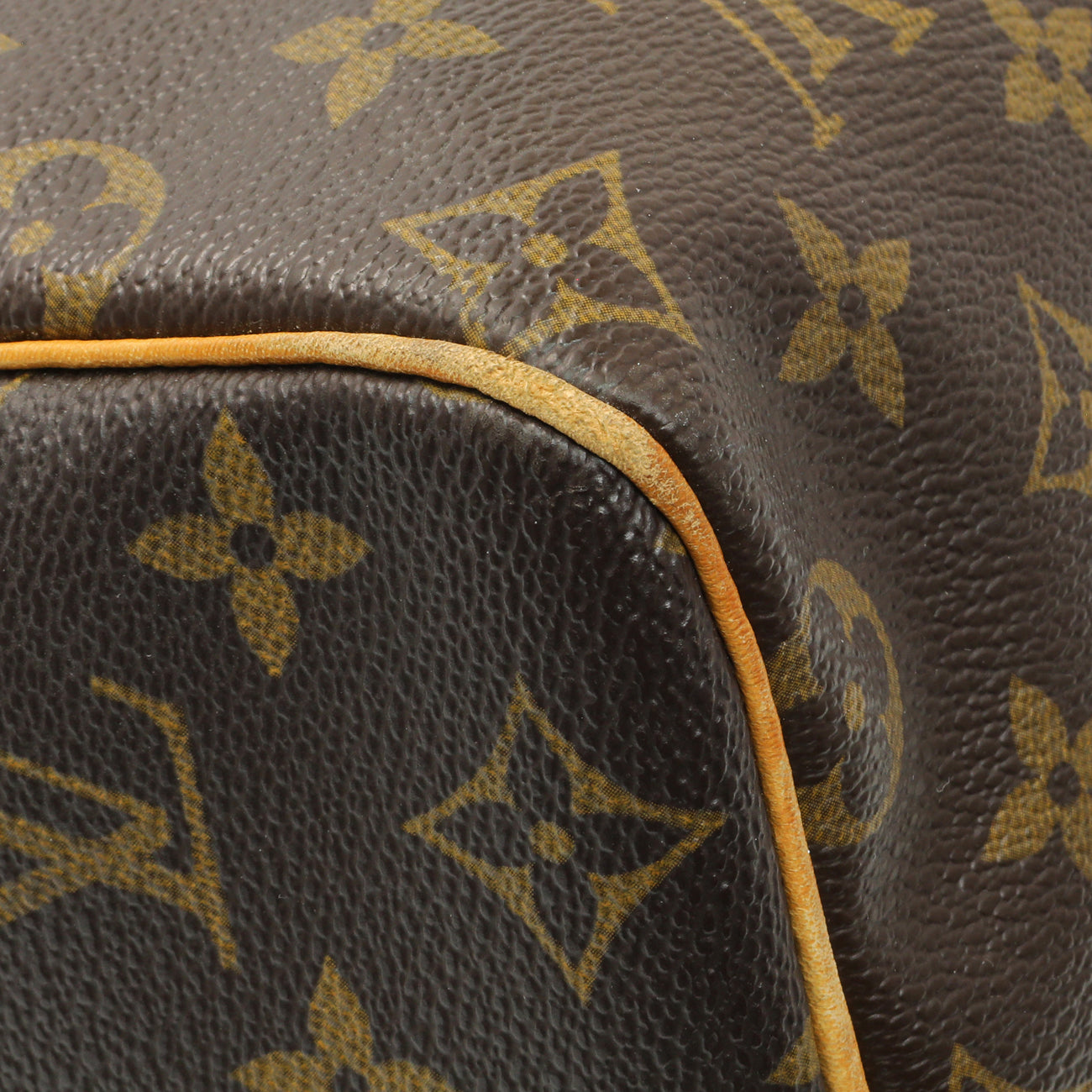 Exclusive Louis Vuitton Monogram Speedy 25 — Lifestyle View