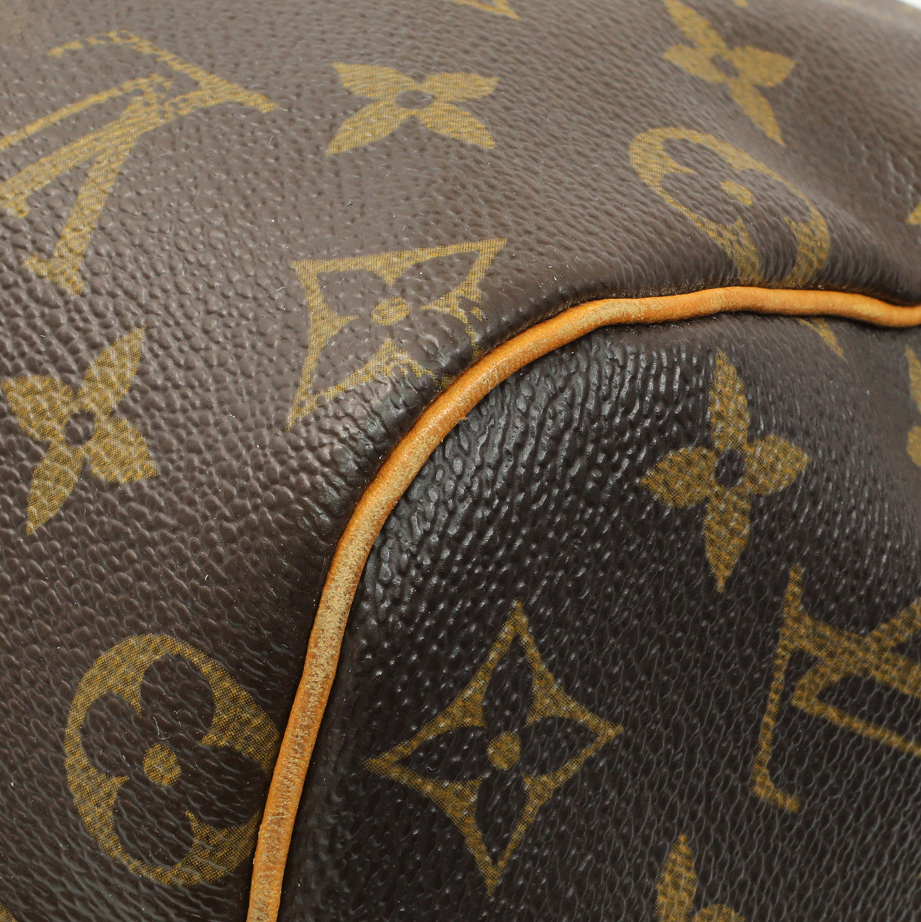 Exclusive Louis Vuitton Monogram Speedy 25 — Alternate View 7