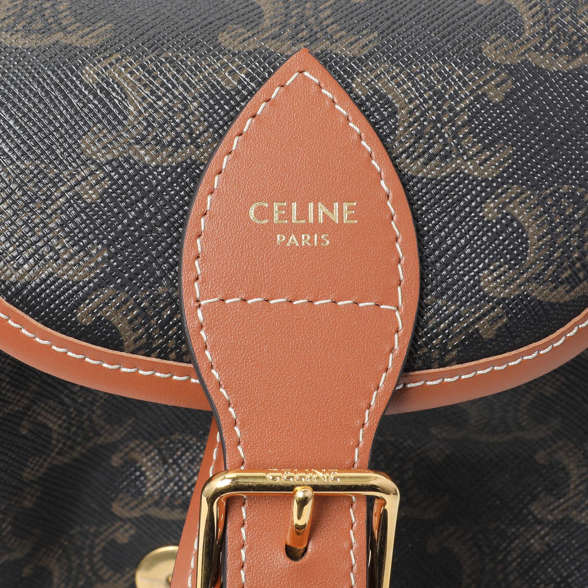 Exclusive Celine Triomphe Canvas Calfskin Mini Folco Backpack — Detail View