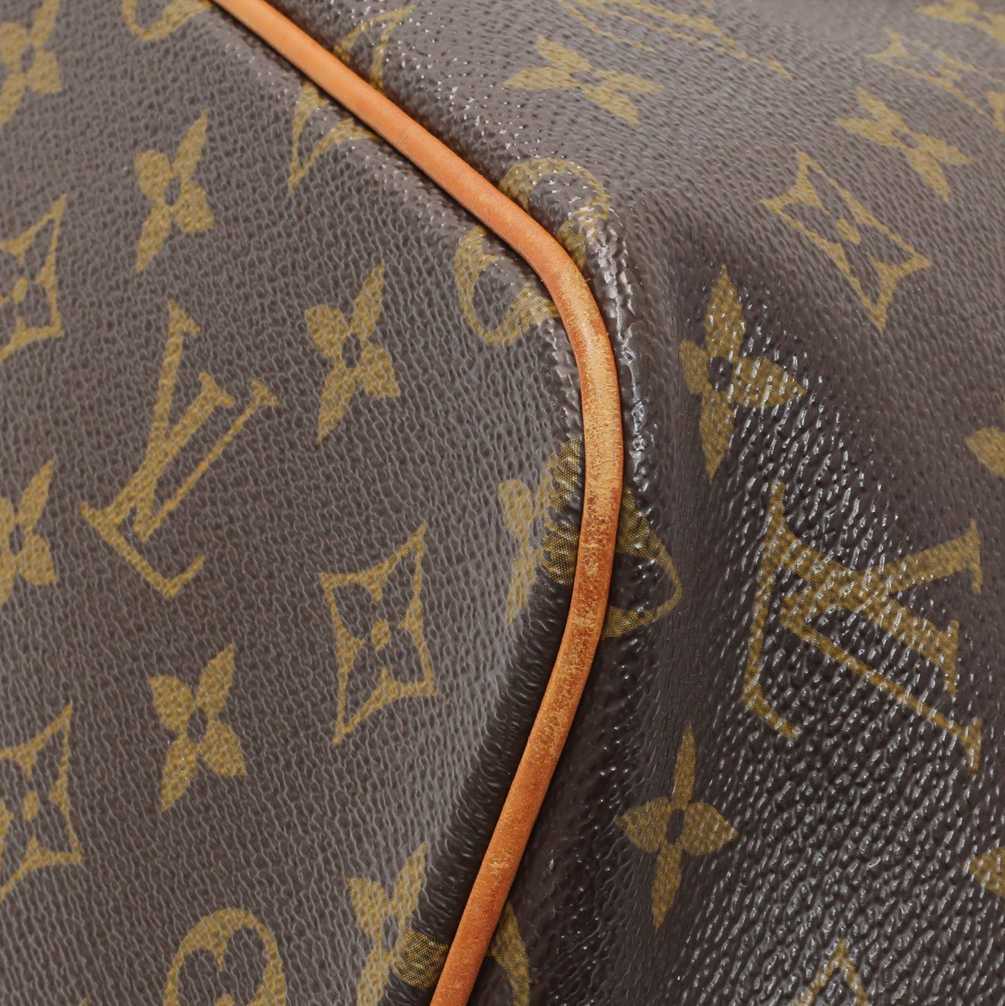 Exclusive Louis Vuitton Monogram Palermo PM — Detail View