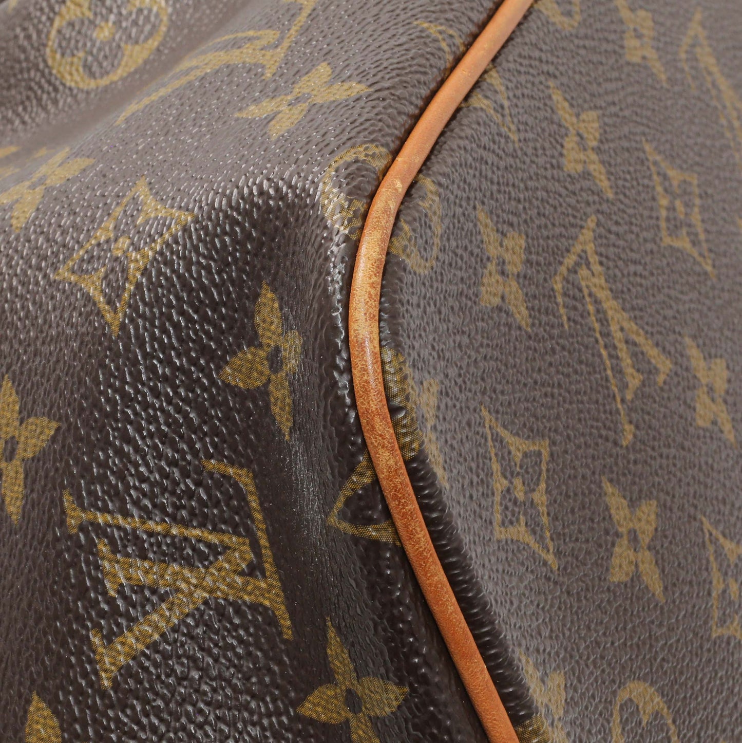 Exclusive Louis Vuitton Monogram Palermo PM — Lifestyle View