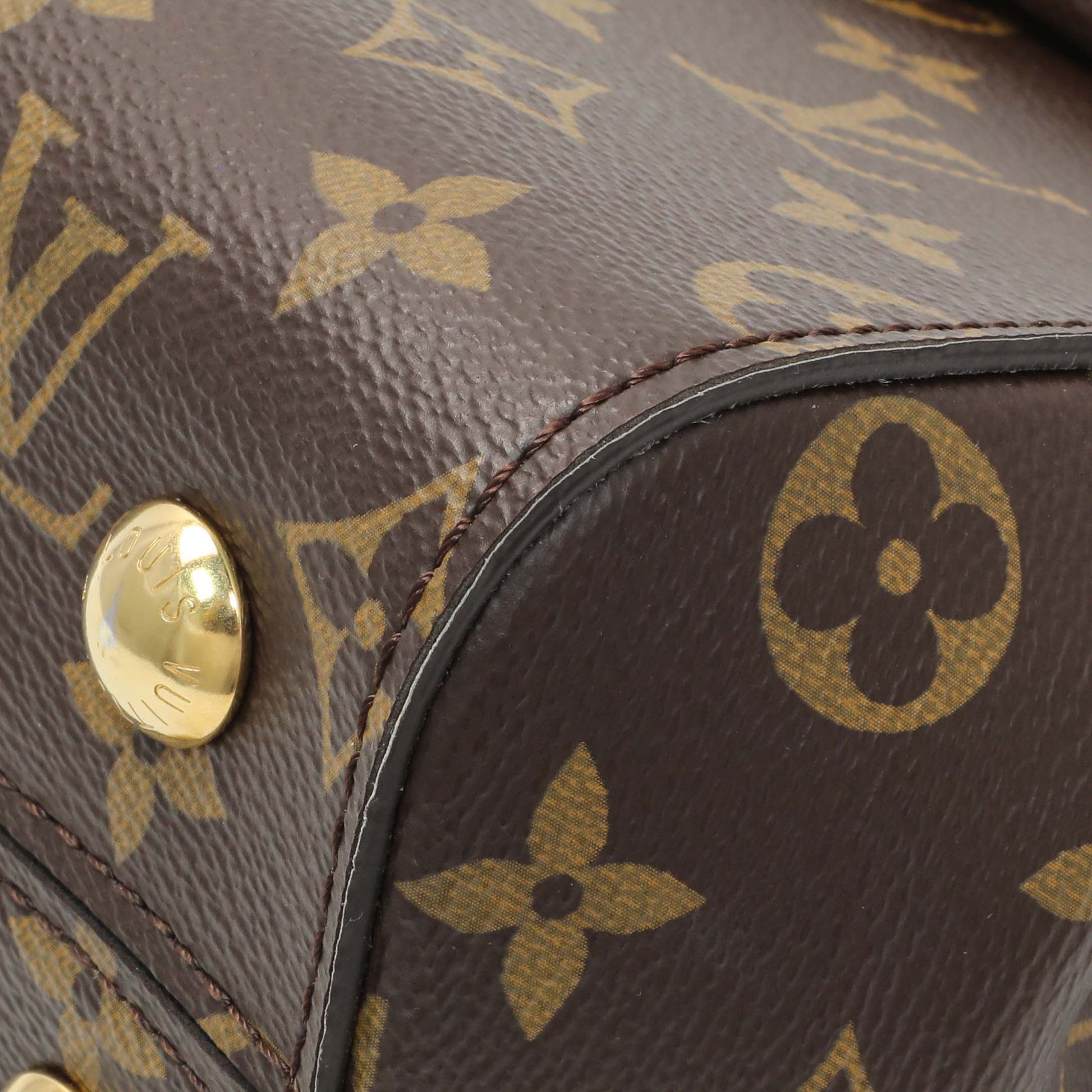 Exclusive Louis Vuitton Monogram Cluny BB — Detail View