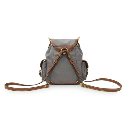 Exclusive Miu Miu Grey Canvas Backpack — Back View