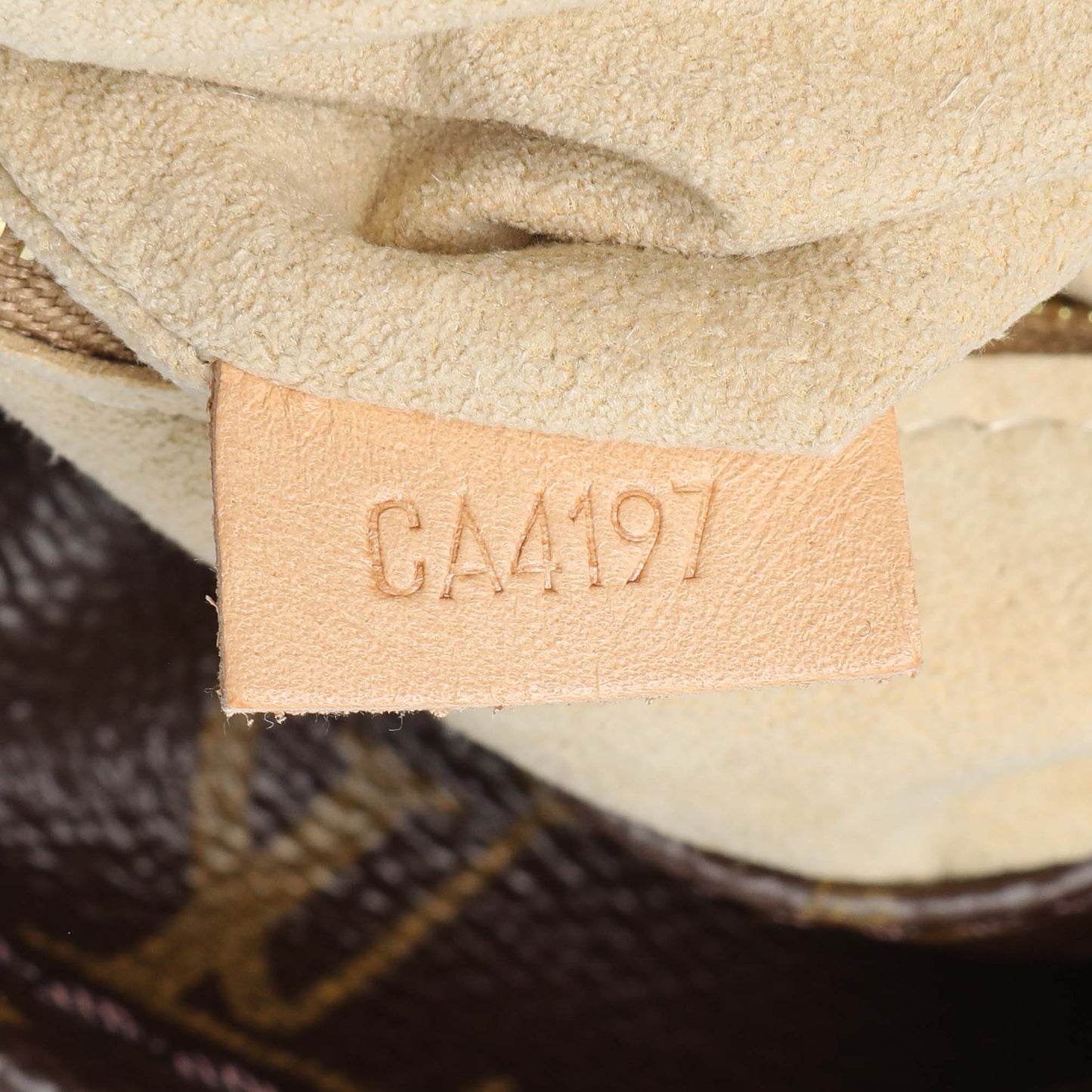 Exclusive Louis Vuitton Monogram Artsy MM — Lifestyle View