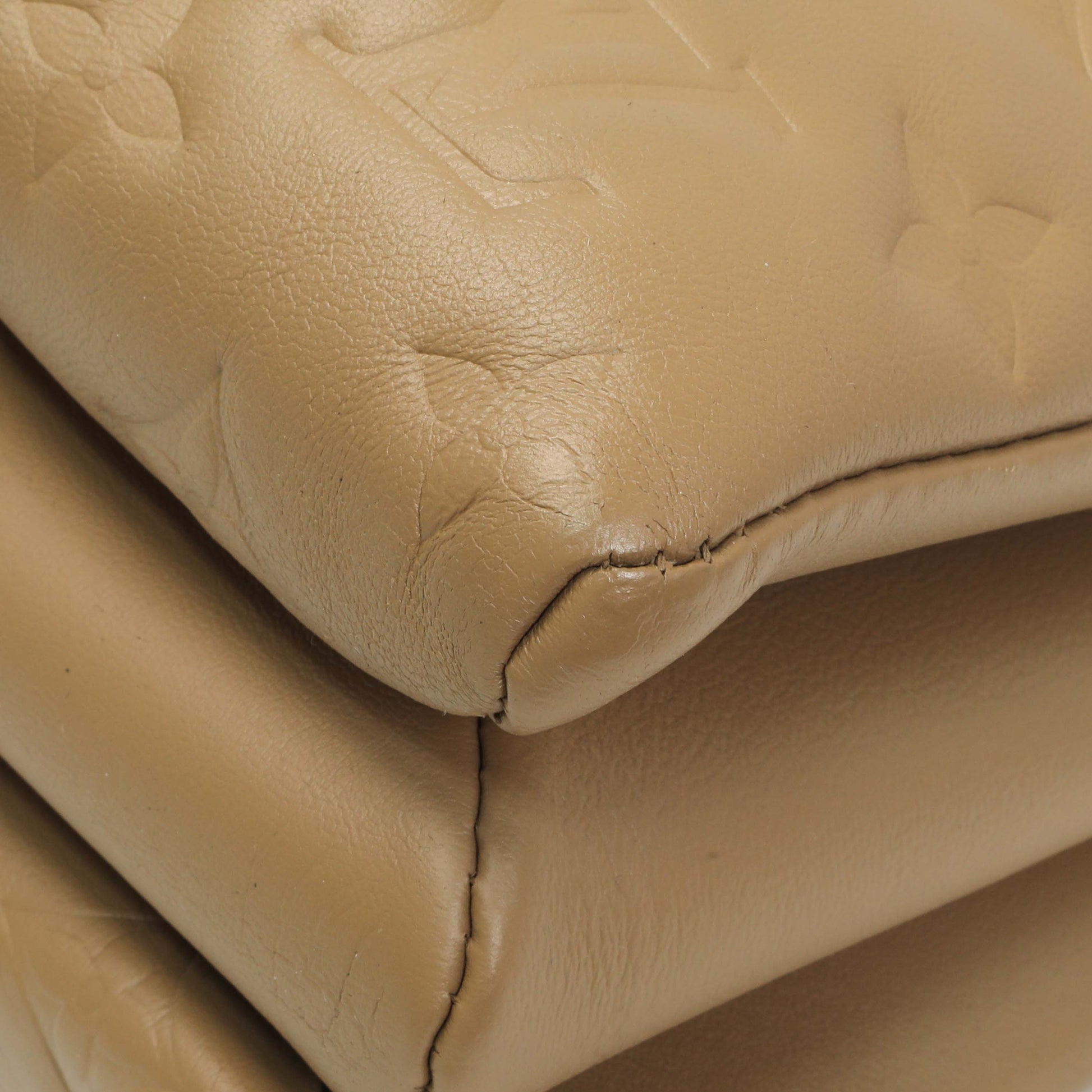 Exclusive Louis Vuitton Camel Monogram Embossed Lambskin Coussin MM — Alternate View 7