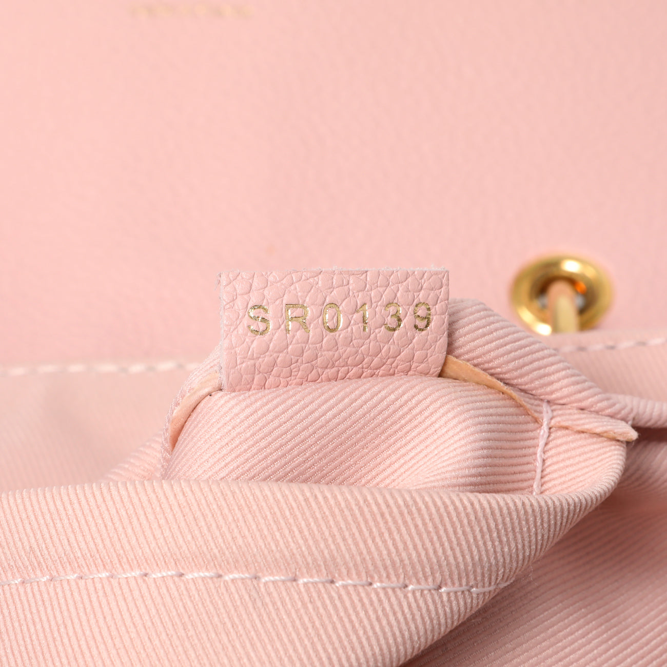 Exclusive Louis Vuitton Damier Ebene Clapton Backpack — Lifestyle View