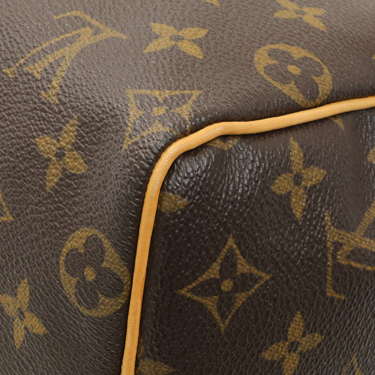Exclusive Louis Vuitton Monogram Speedy 25 — Detail View