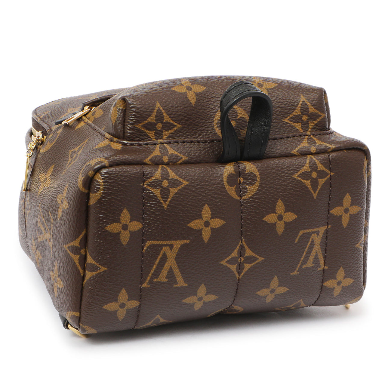 Exclusive Louis Vuitton Monogram Palm Springs Backpack Mini — Back View