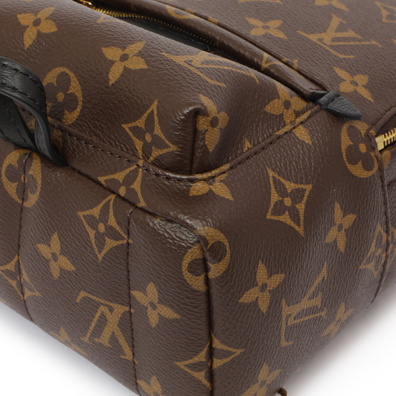 Exclusive Louis Vuitton Monogram Palm Springs Backpack Mini — Detail View
