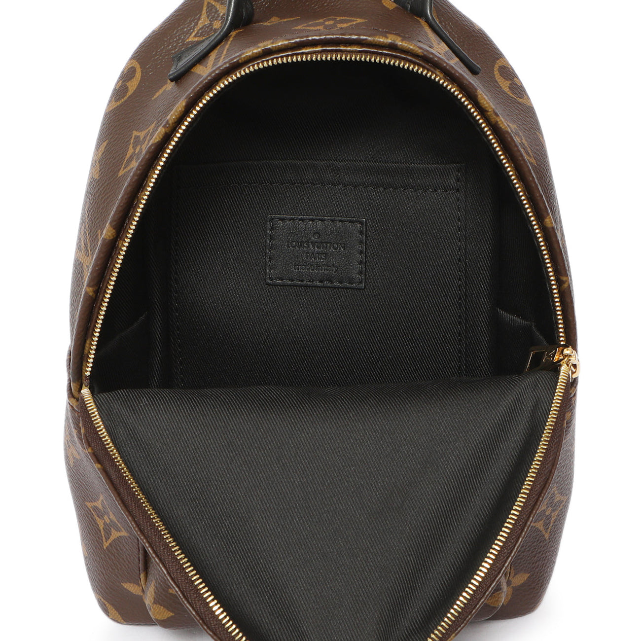 Exclusive Louis Vuitton Monogram Palm Springs Backpack Mini — Alternate View 8