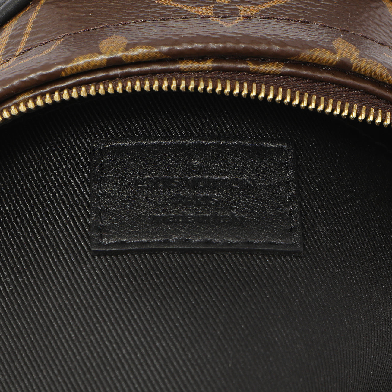 Exclusive Louis Vuitton Monogram Palm Springs Backpack Mini — Alternate View 9
