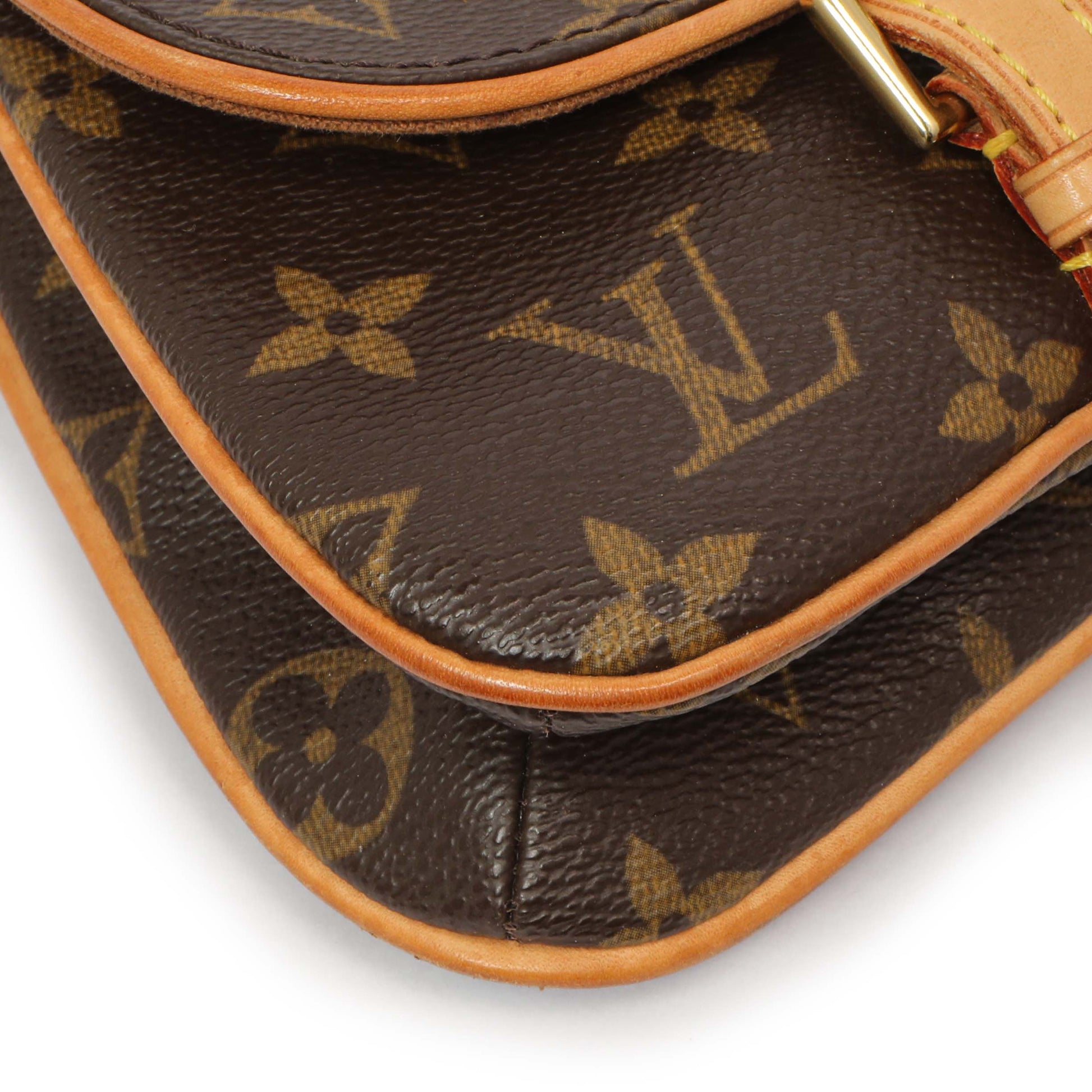 Exclusive Louis Vuitton Monogram Pochette Marelle MM — Detail View