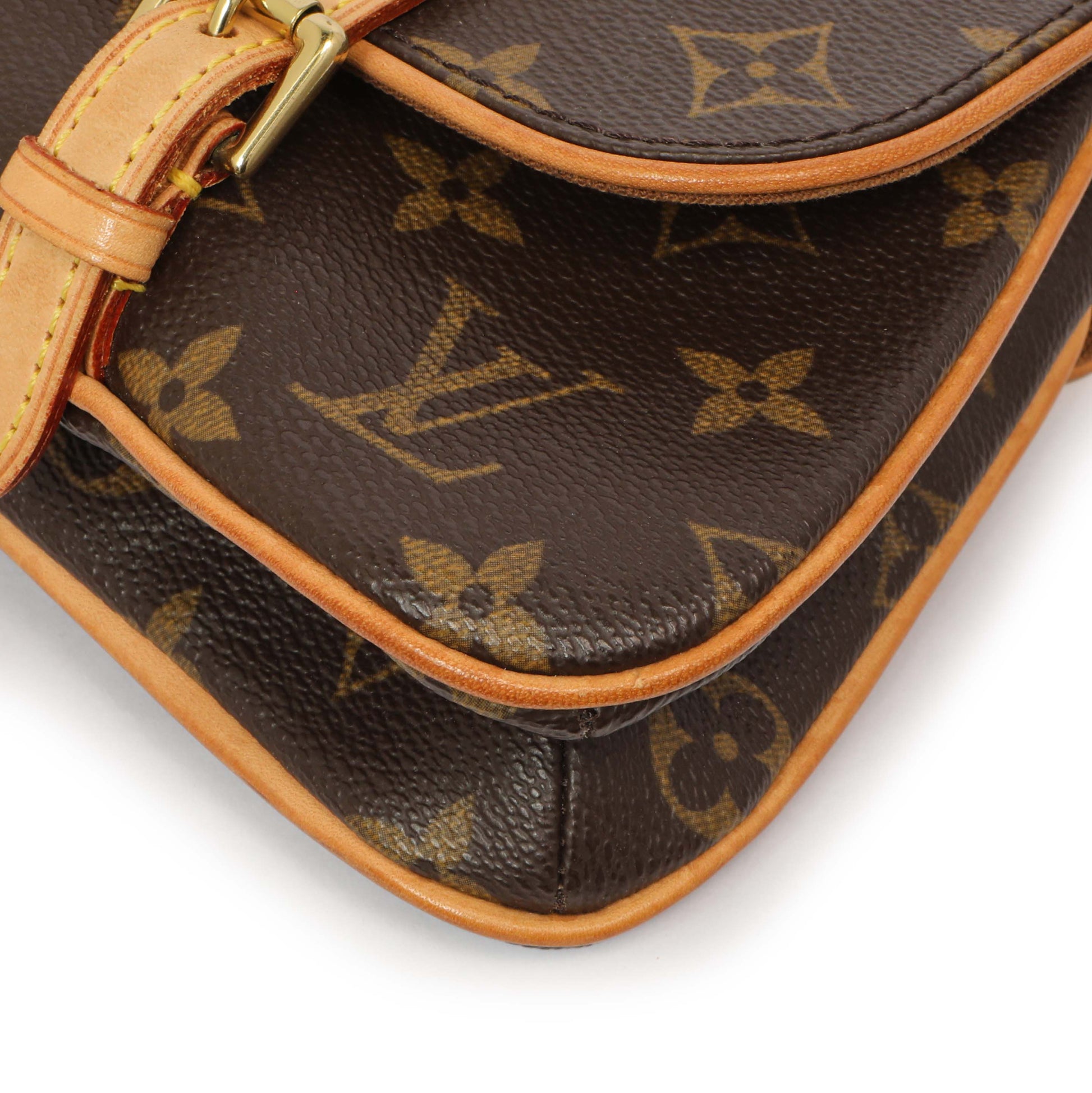 Exclusive Louis Vuitton Monogram Pochette Marelle MM — Lifestyle View